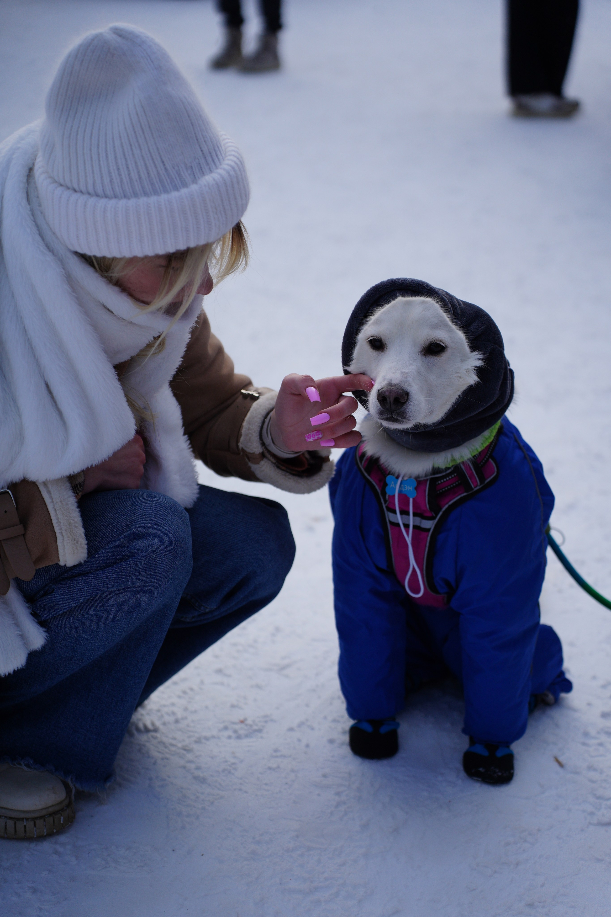 Благотворительная Акция «Ищу Человека». Pupov.png
