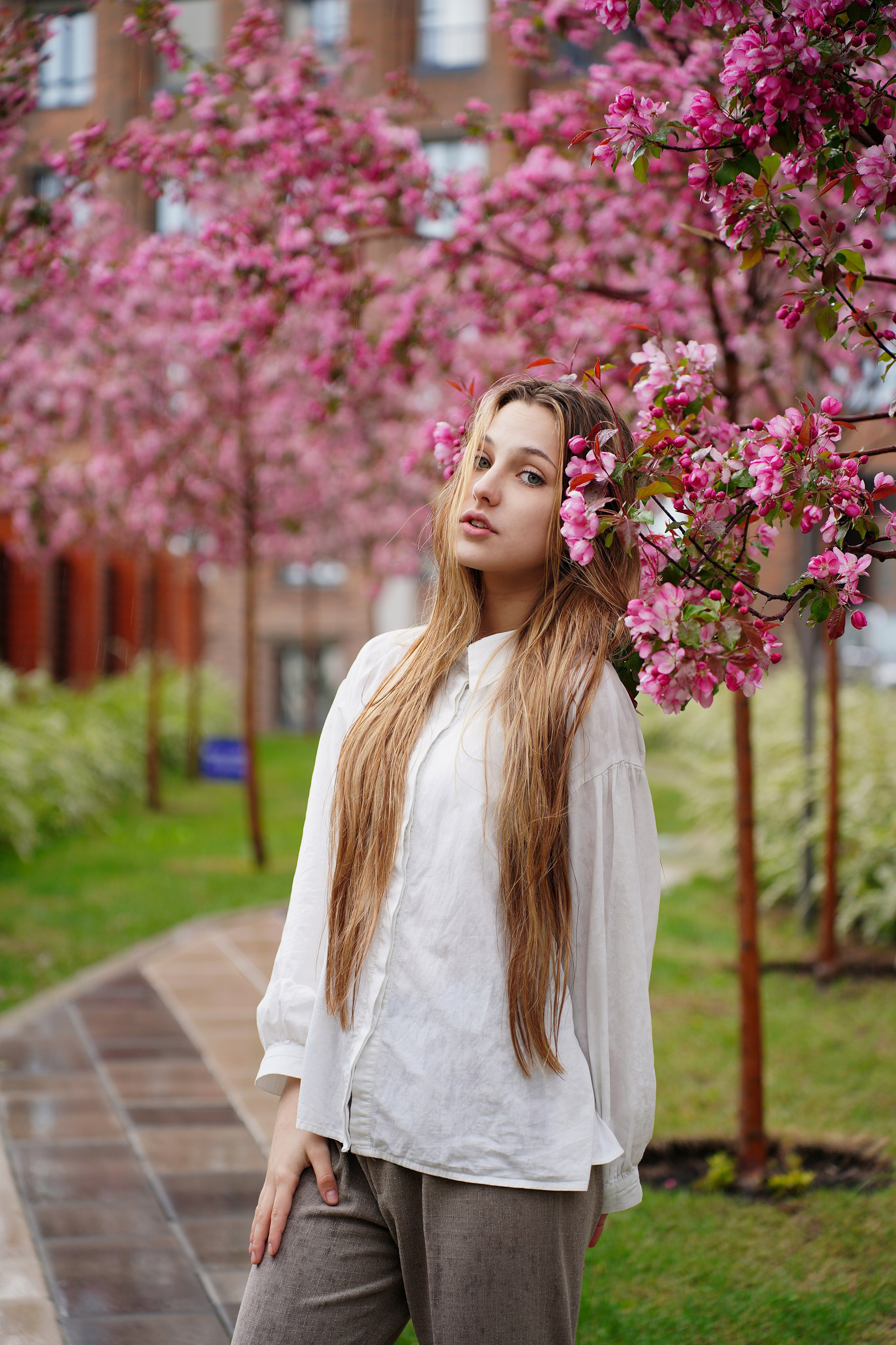 Портрет. Pupov.png