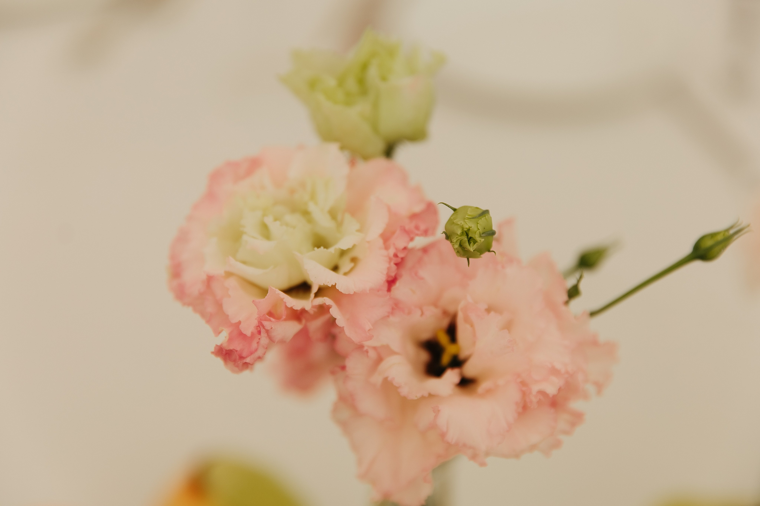 Прогулка Банкет. Фотограф в Красноярске Любовь Малеева