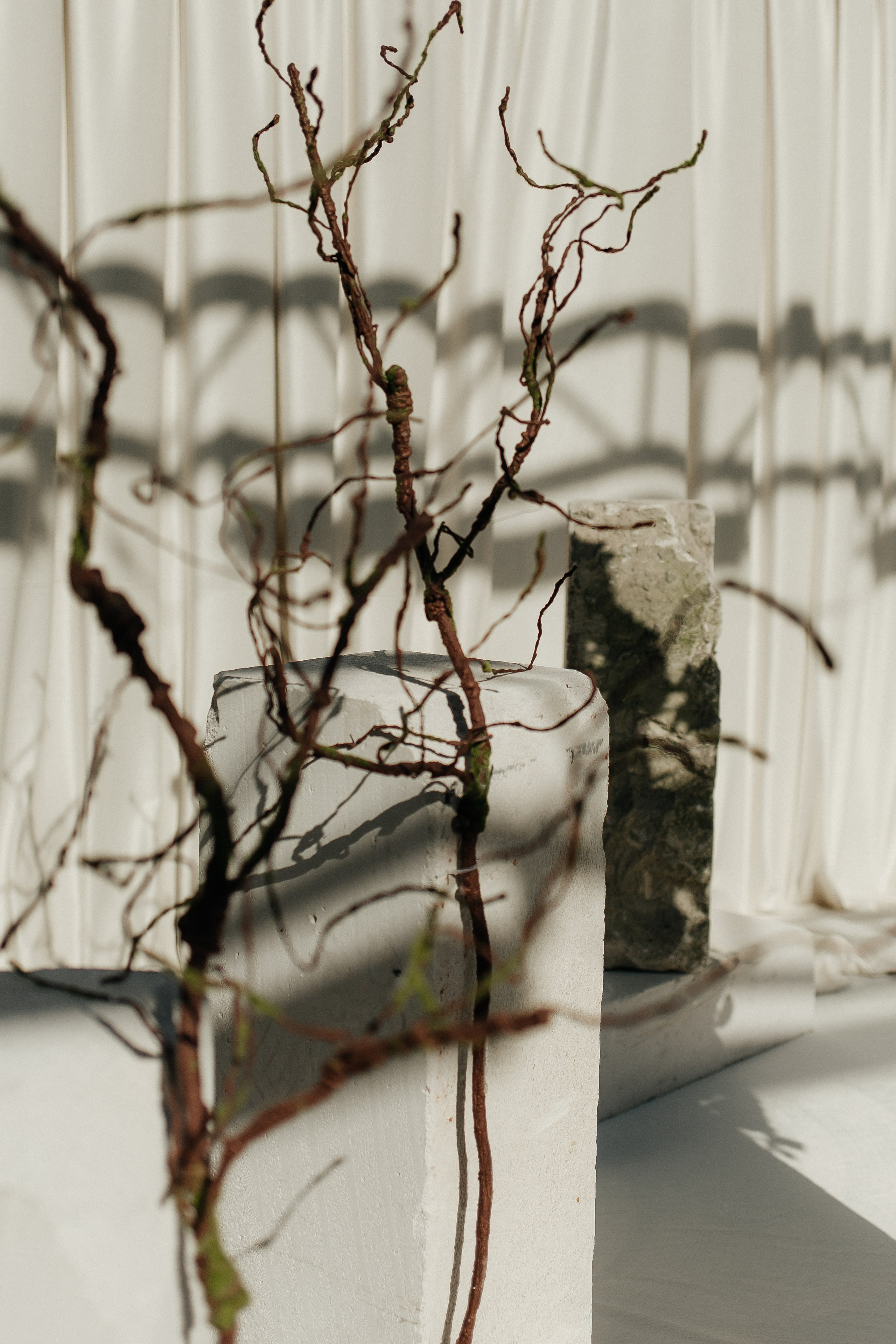 A & A. Фотограф Ольга Сапронова. Свадебный фотограф Ольга Сапронова