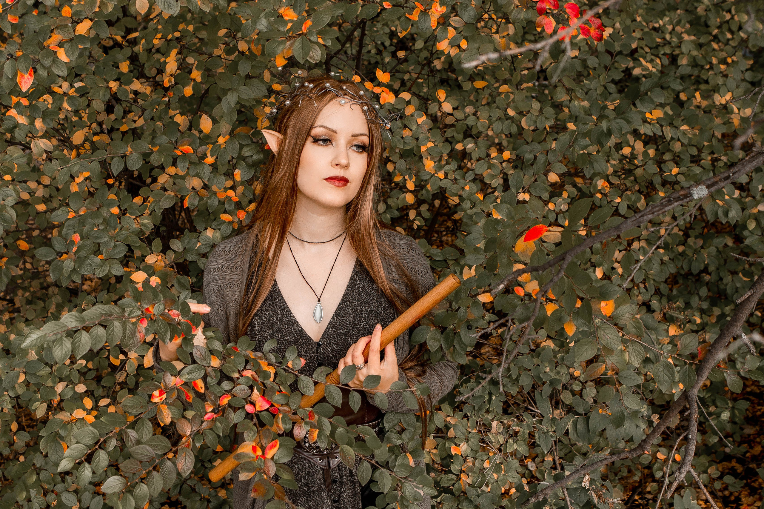 Волшебный лес. Фотограф Екатерина Голицына