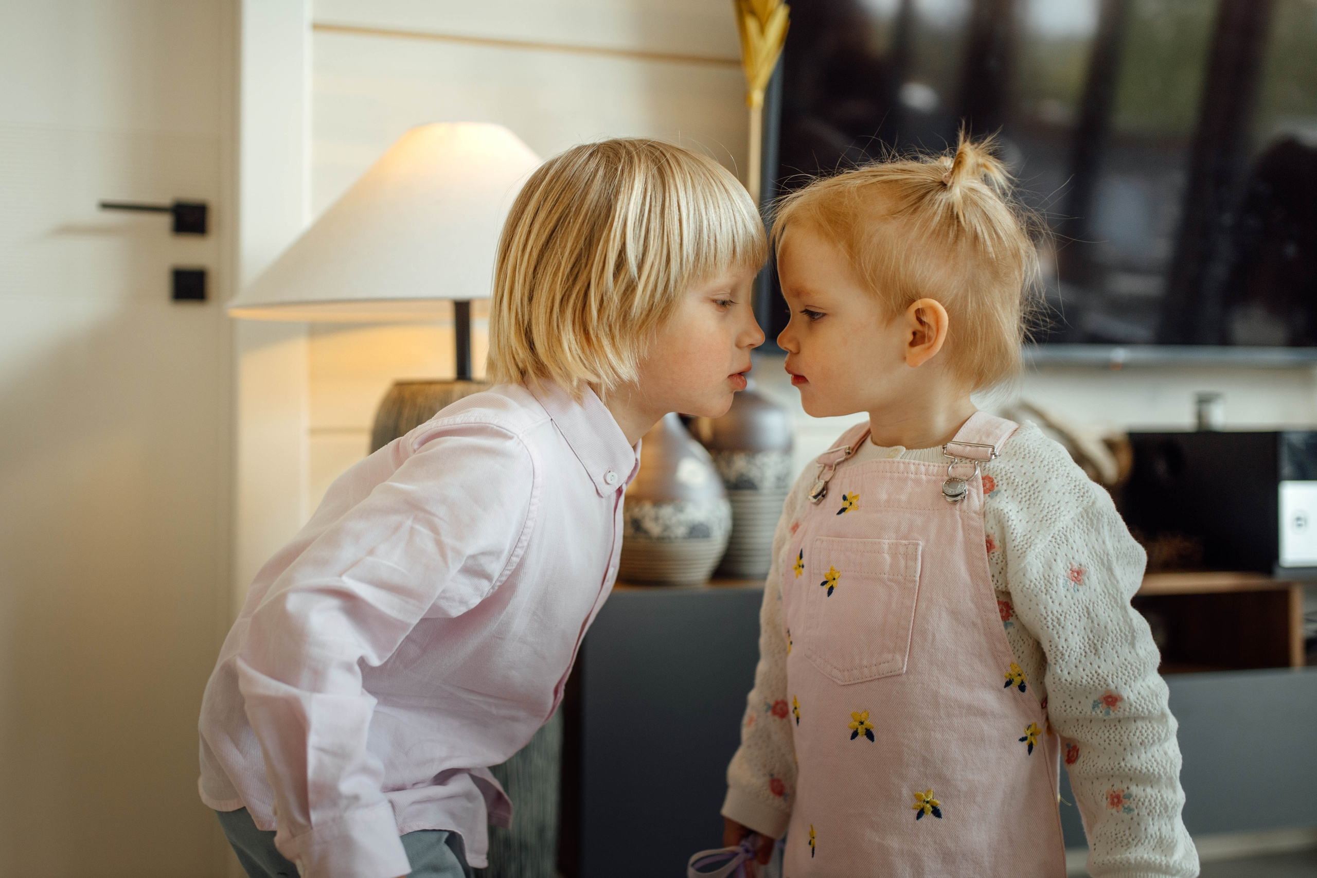 Репортаж дома, др