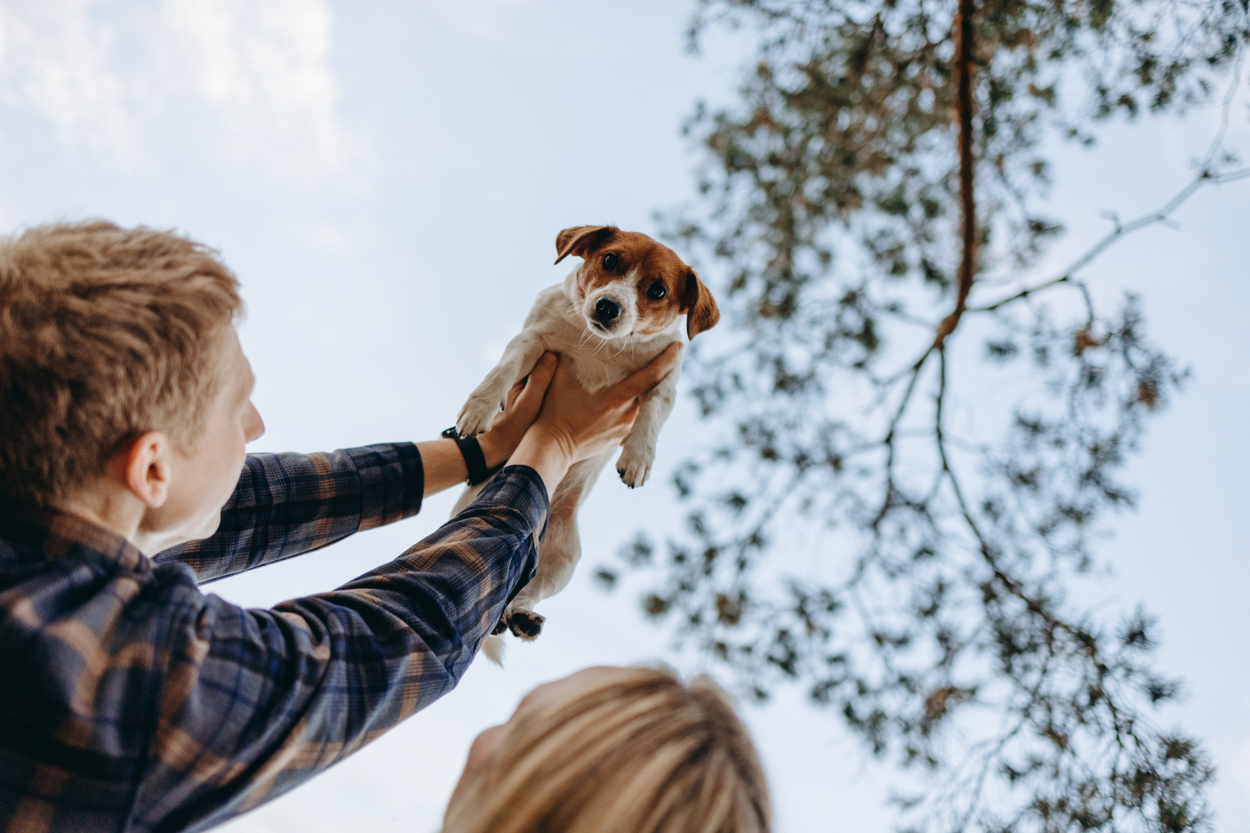 Лея и ее семья. Фотограф — Анималист | Санкт-Петербург
