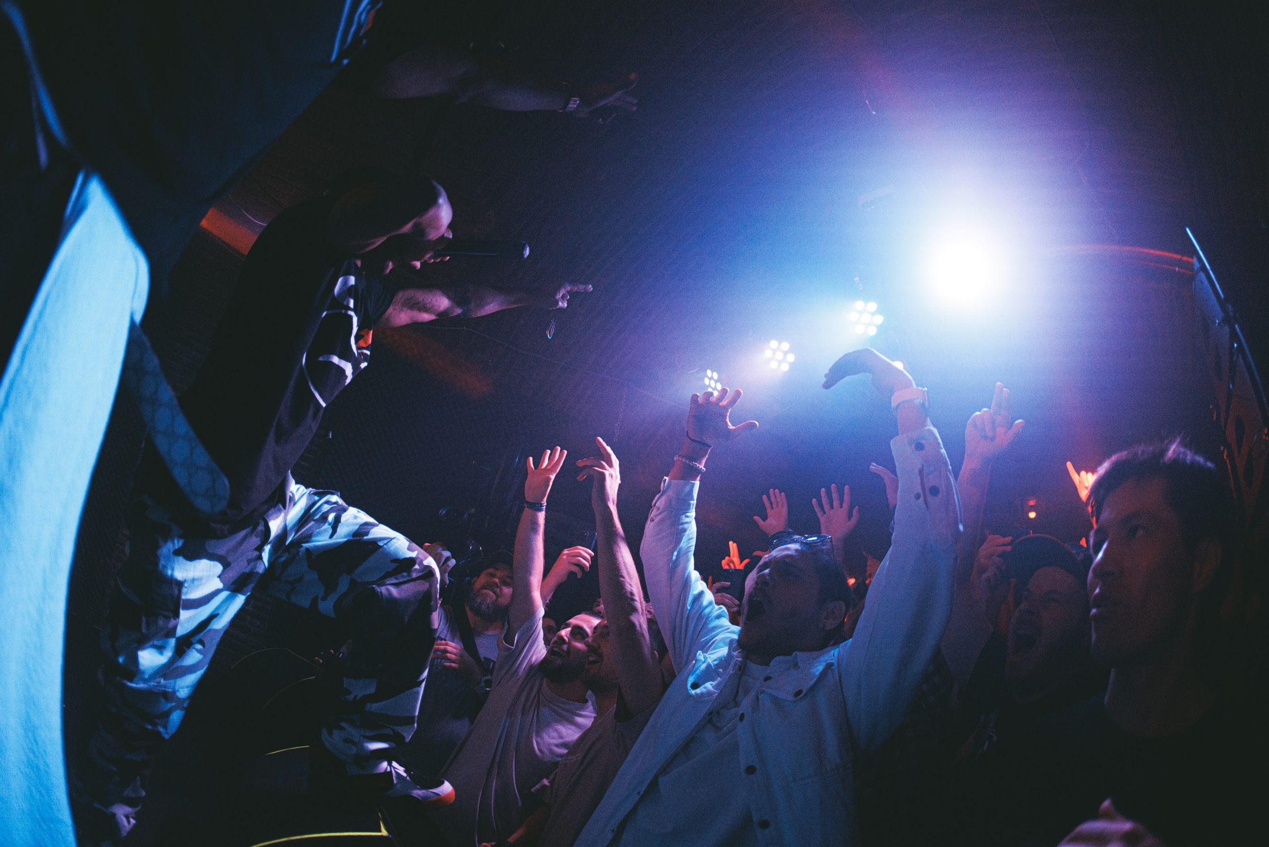 Parties photography. Bivol images