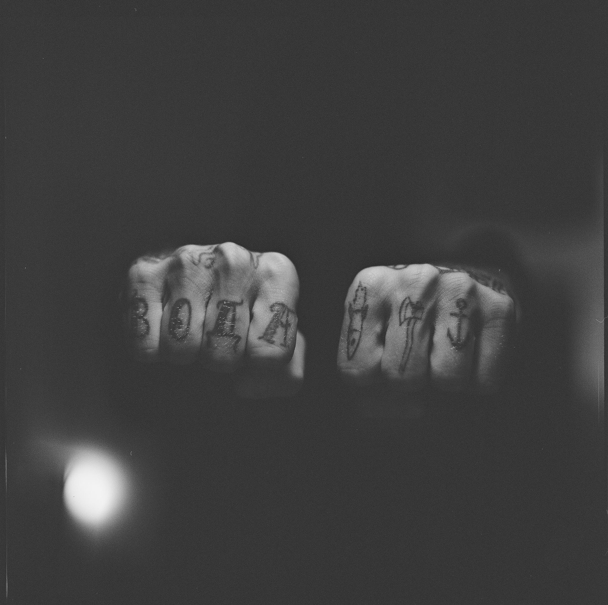 Lifestyle. Bivol images