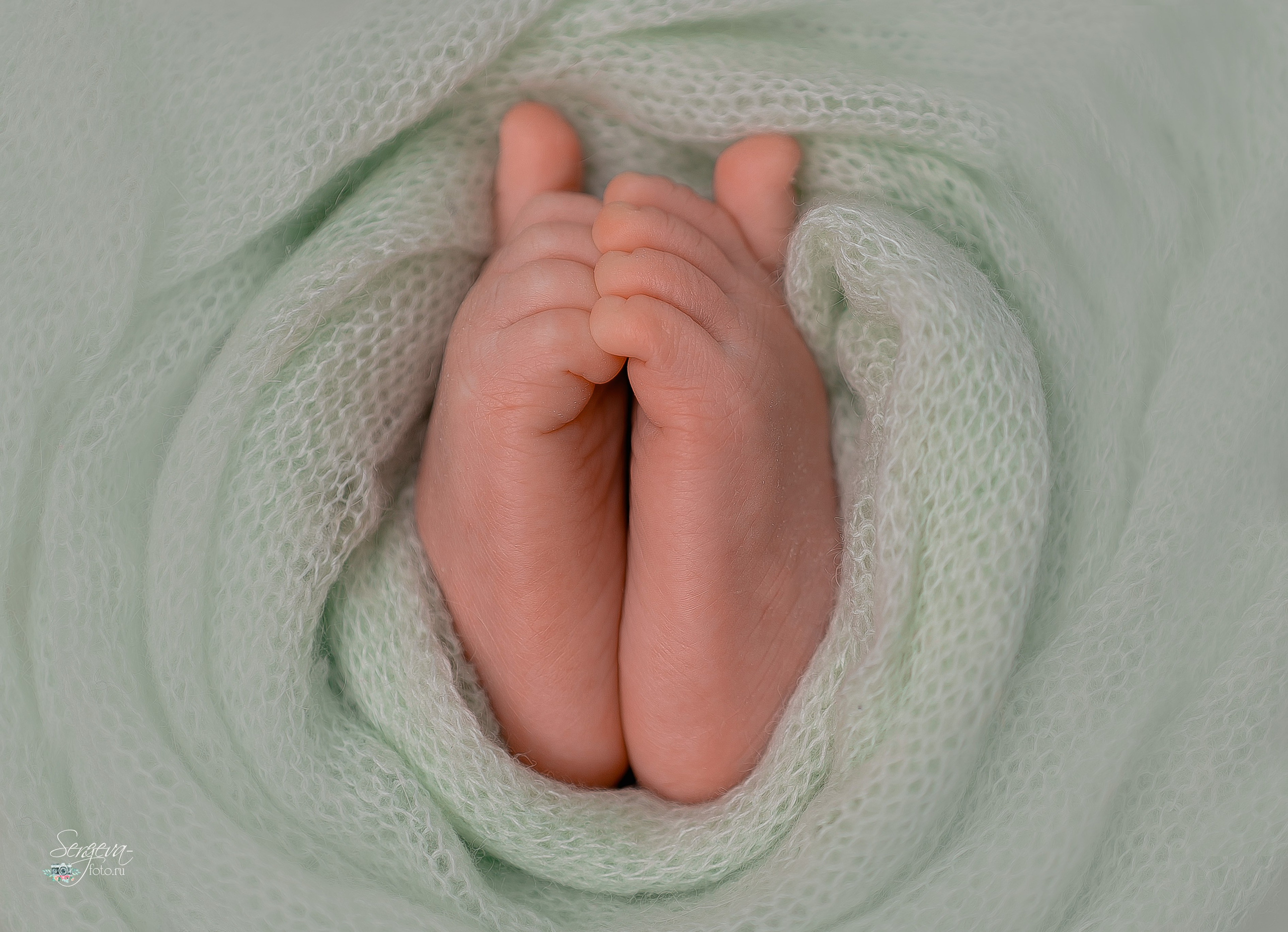Матвей 23 дня. Фотограф новорожденных в Нижнем Новгороде Сергеева Оксана