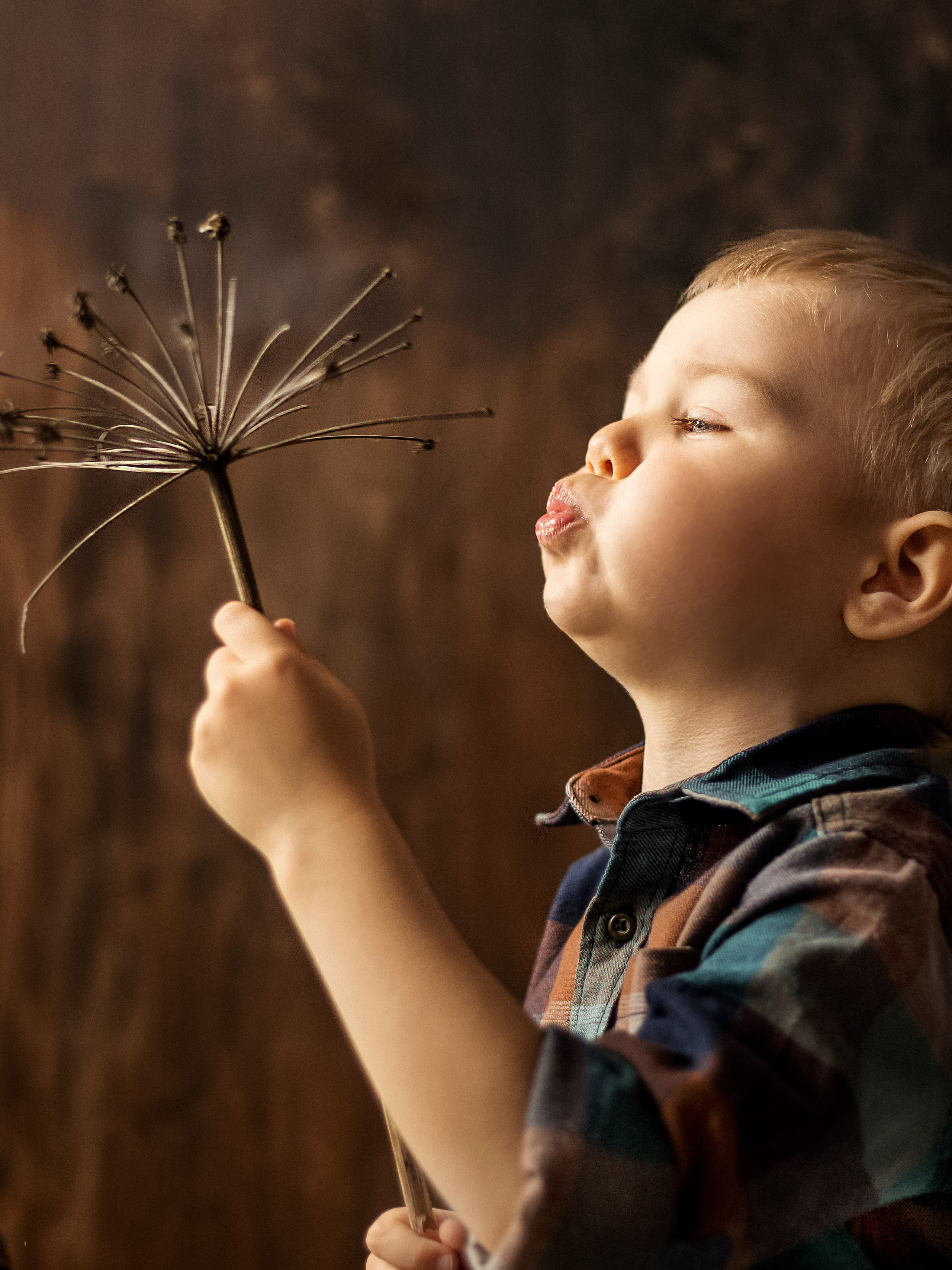 Детки-конфетки. Предметная фотография