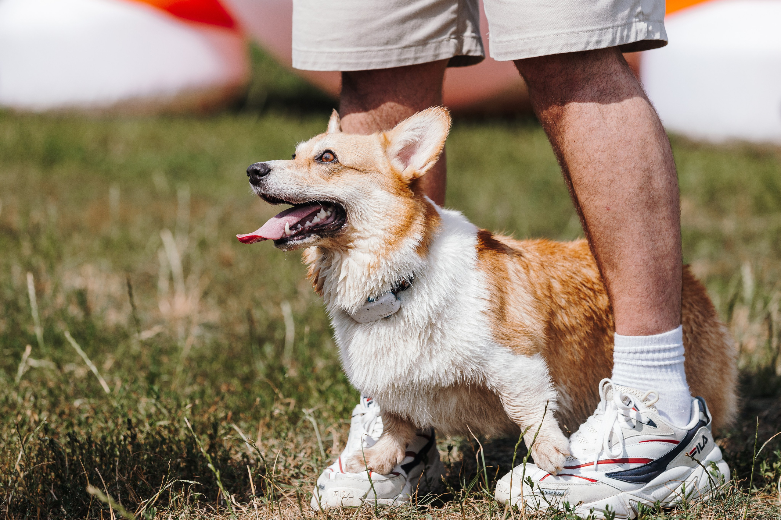 Petshop Sup day. Фотограф анималист Кристина Карпова, Москва