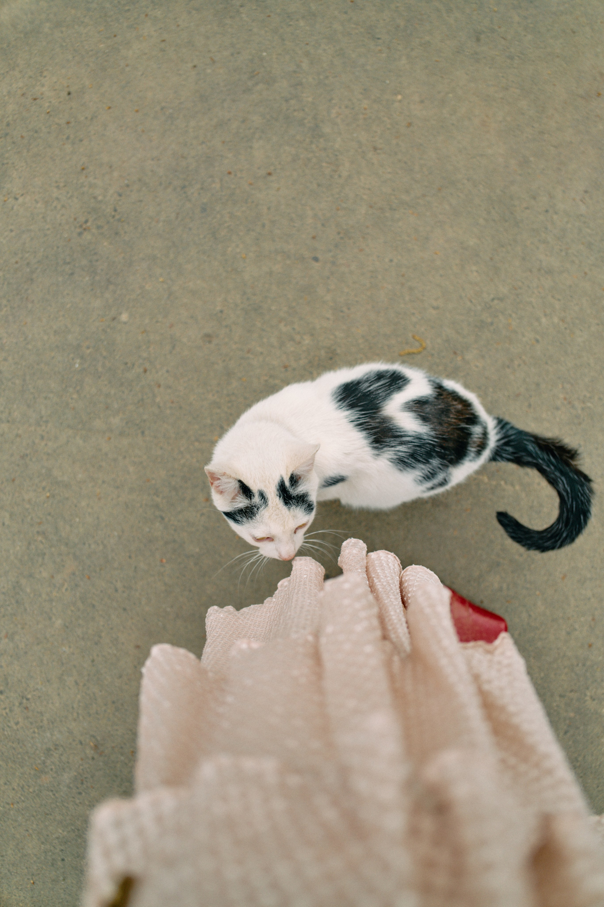 Бутик-отель Поле летом. Профессиональный Фотограф во Владимире, в Москве и в Суздале — Полина Романычева