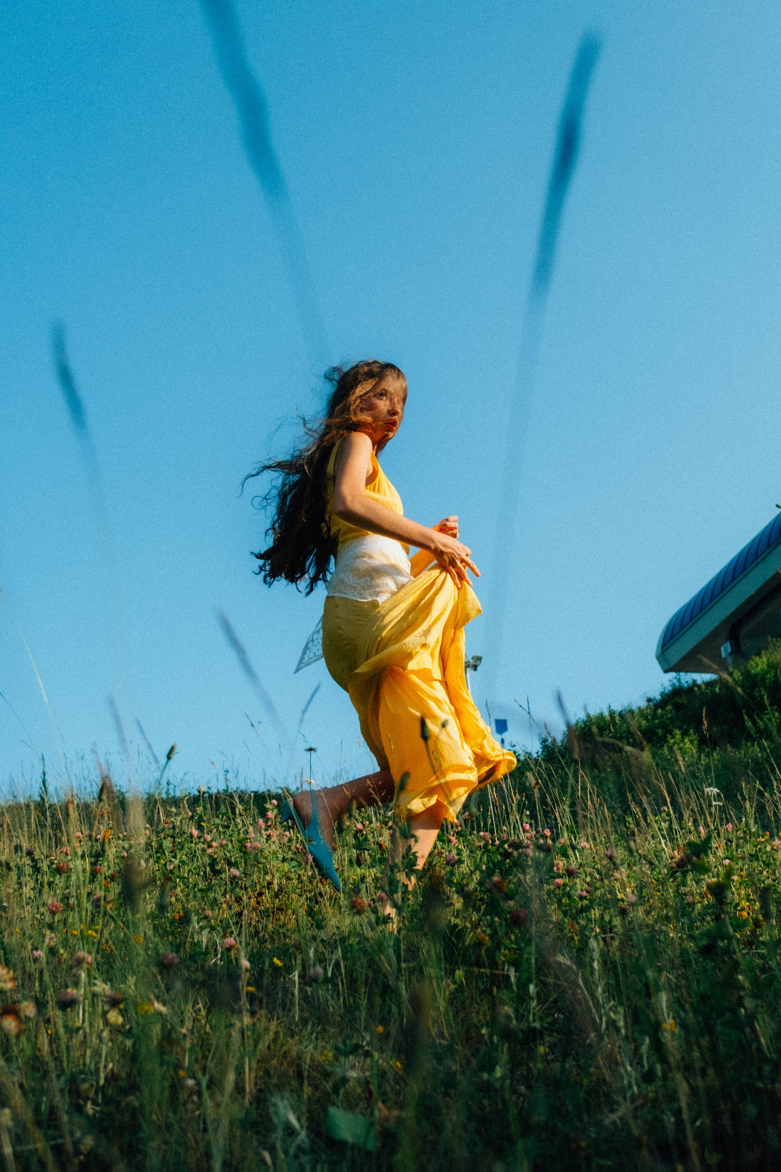 Ромашковые вершины. Репортажный фотограф в Сочи Екатерина Вежливцева