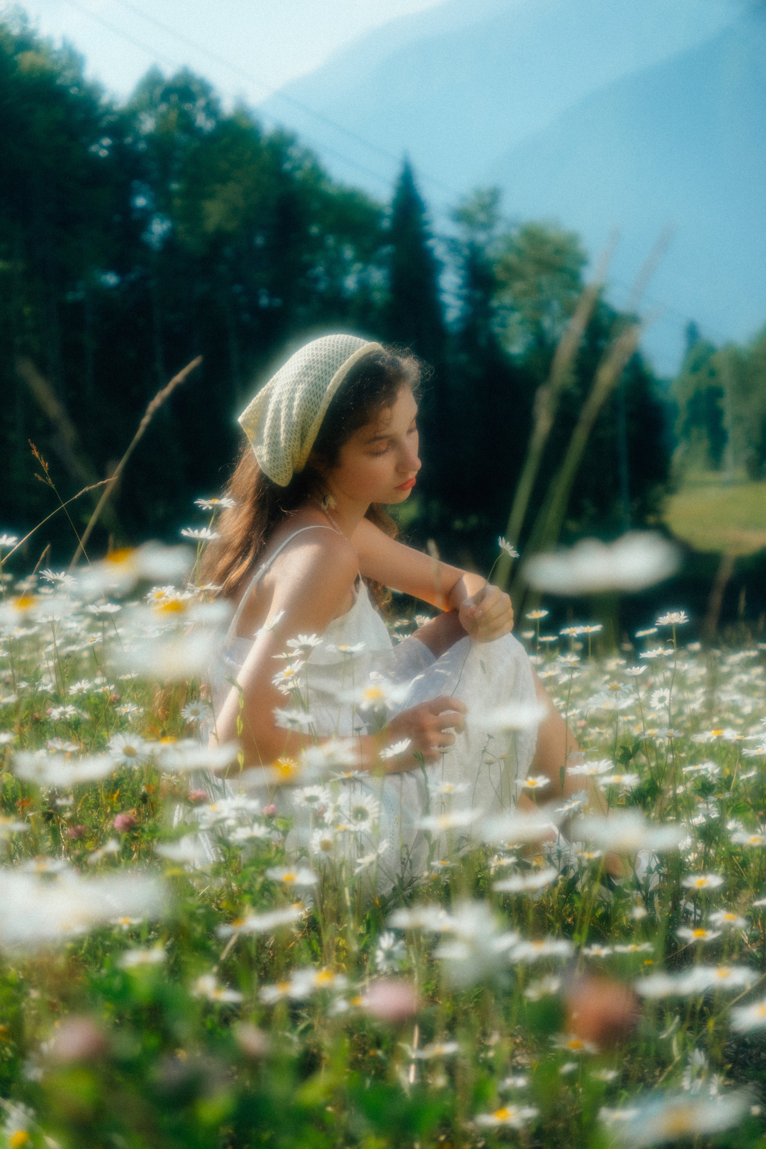 Ромашковые вершины. Репортажный фотограф в Сочи Екатерина Вежливцева