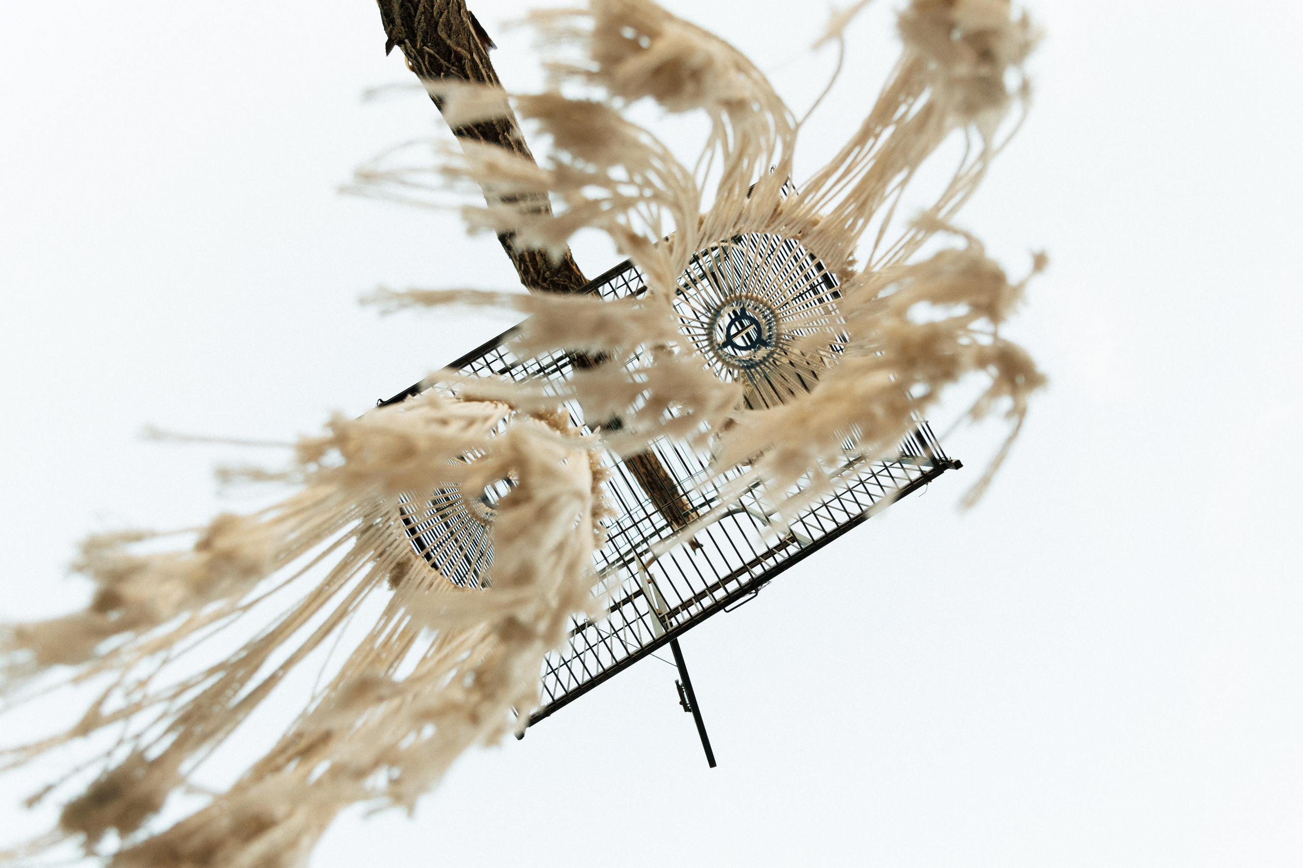 Андрей и Вика. Фотограф и Видеограф в Ростове на Дону