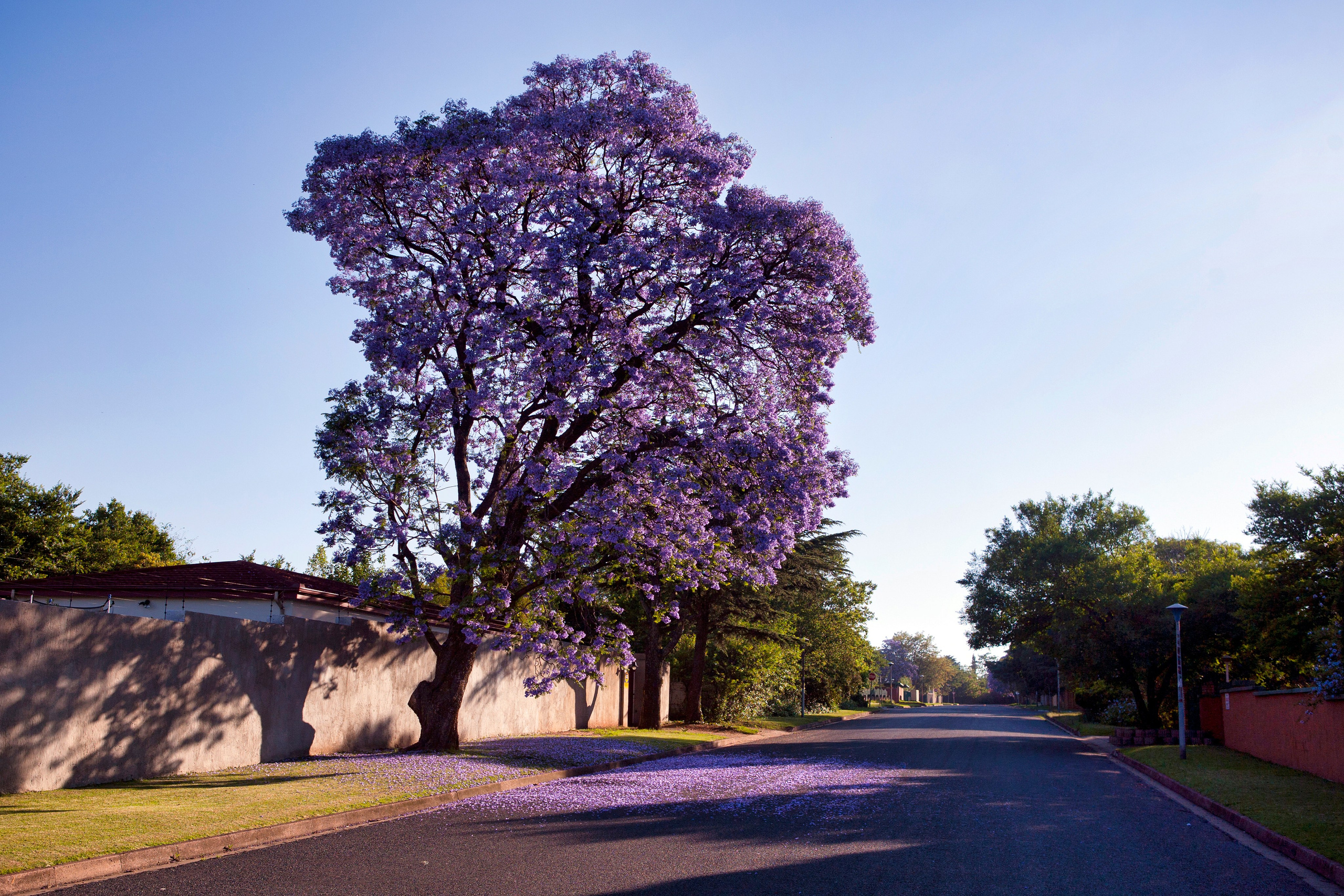 Из разных мест. Фотограф Владимир Остапенко