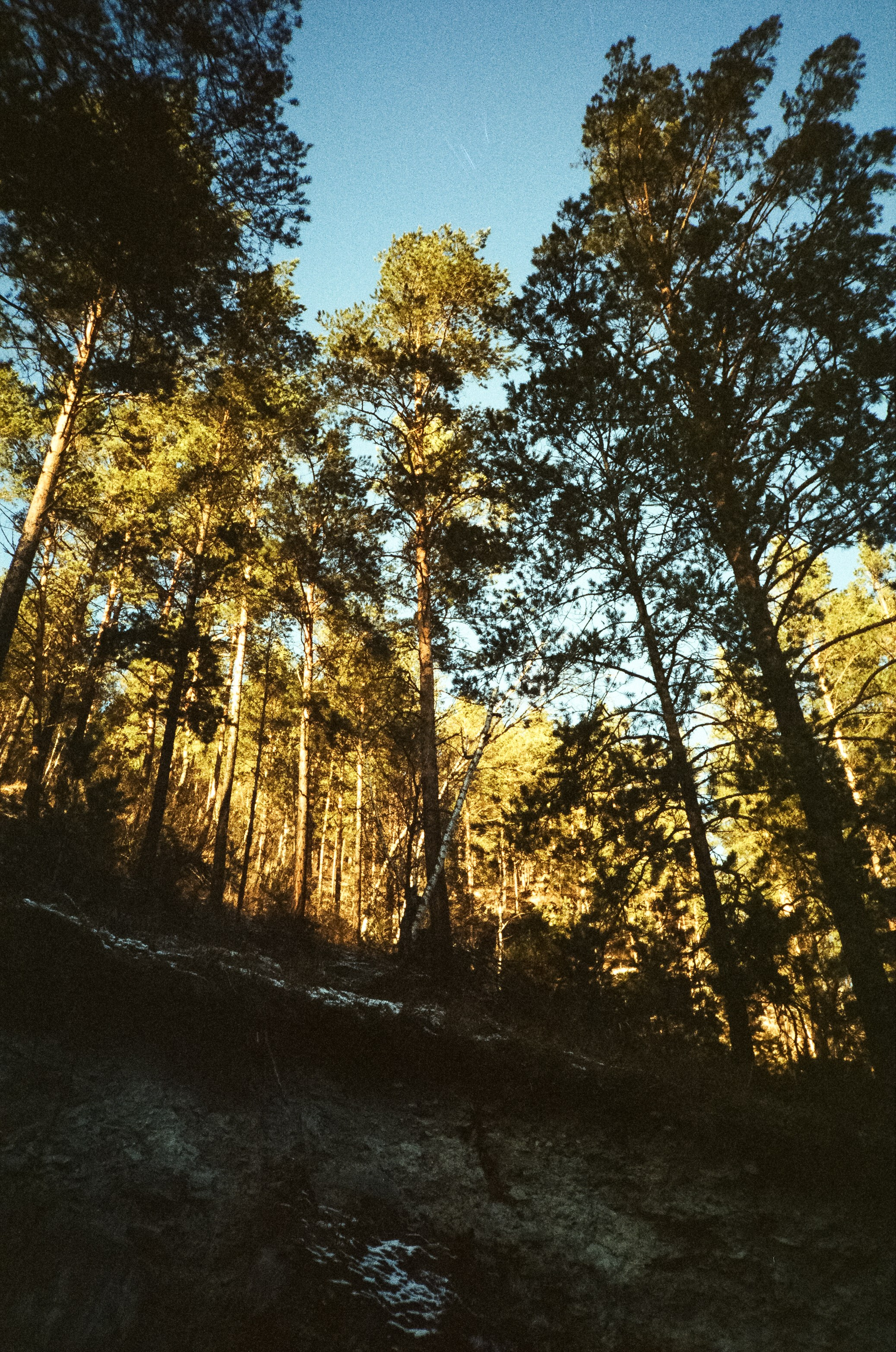 Дорога в сторону Сада Пионов, база Сила Алтая / 15 — 16 декабря 2023 г