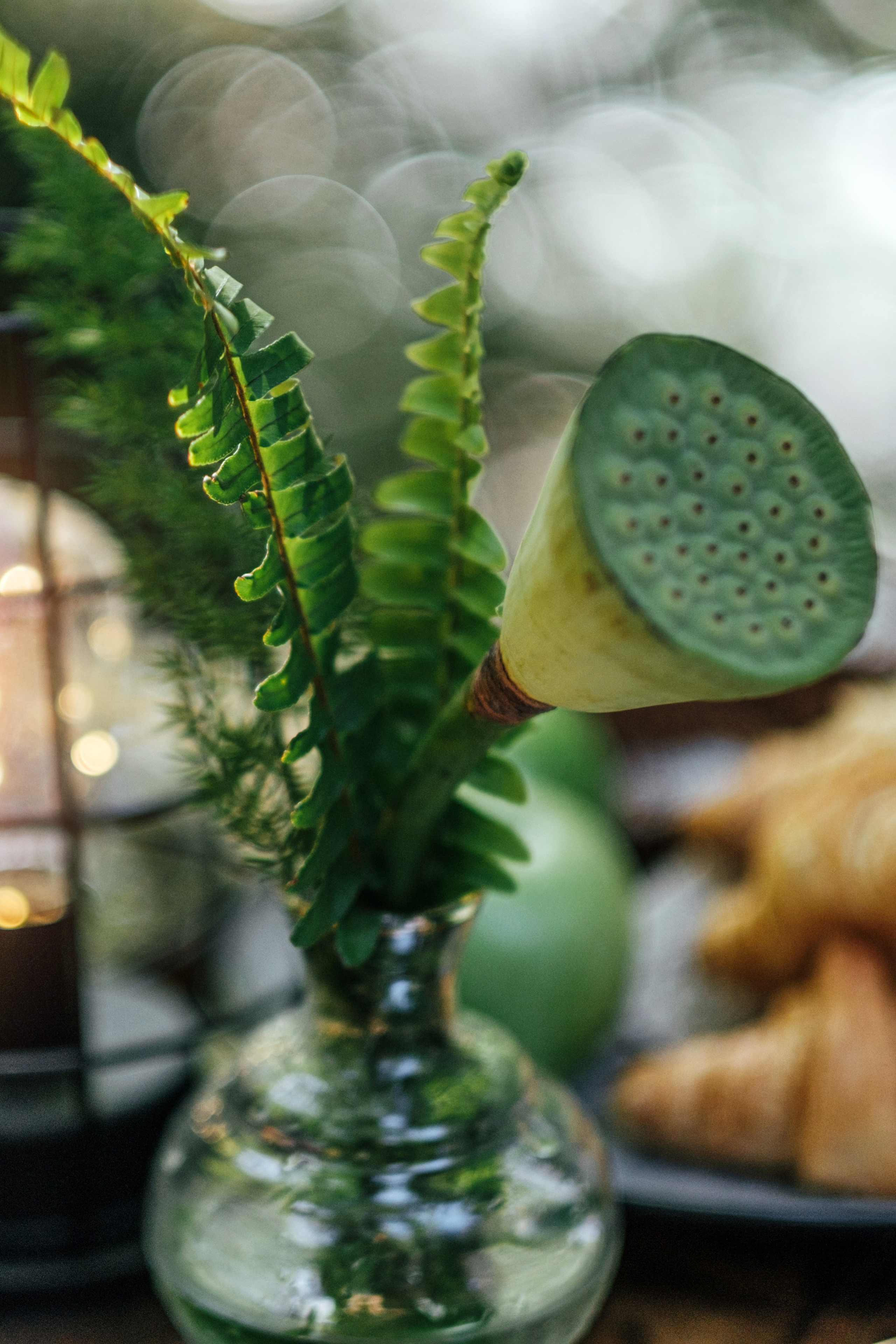 Кот и Дракон. Свадебный Видеограф Фотограф в Сочи