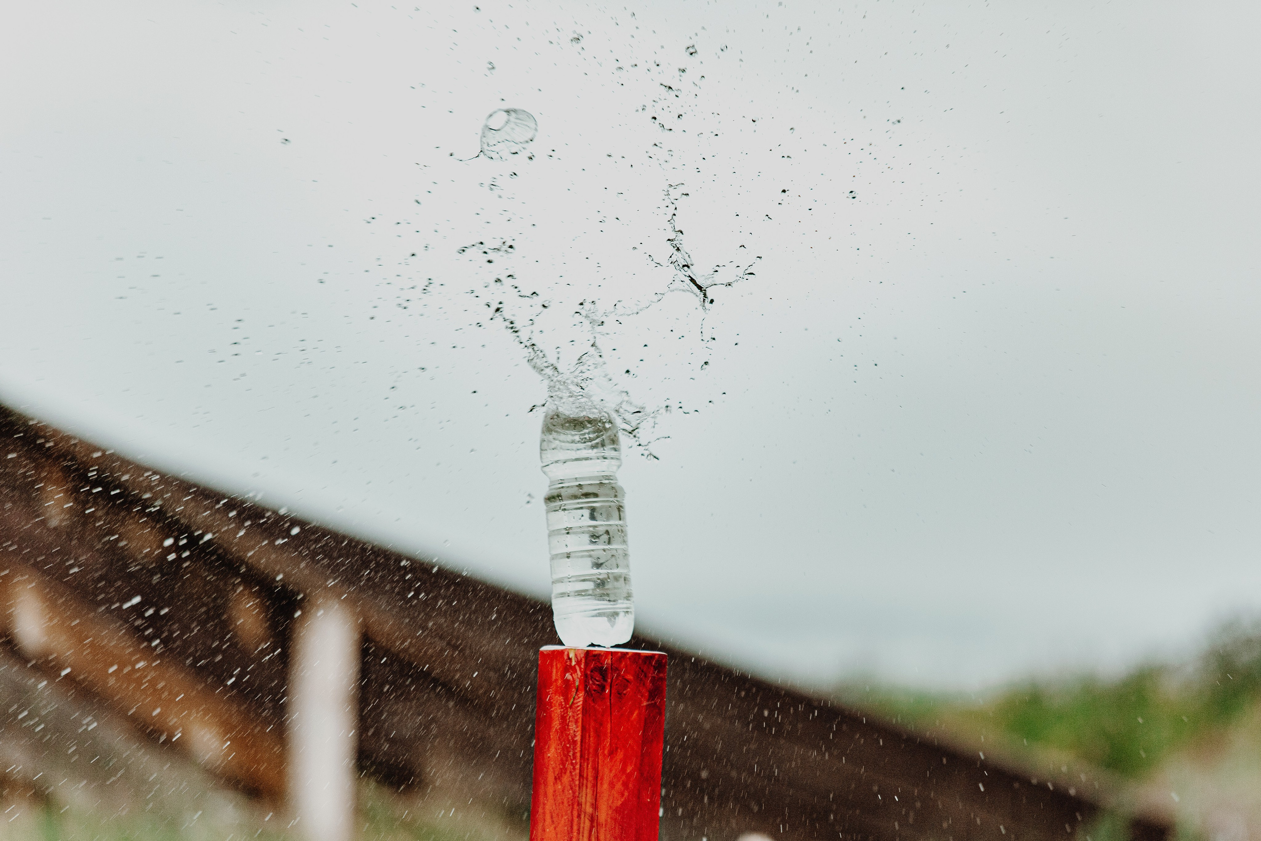 Фестиваль «Абалакское поле» XVI. Арт-фотограф Крис Л. в Тобольске: портрет, семейные, свадьбы