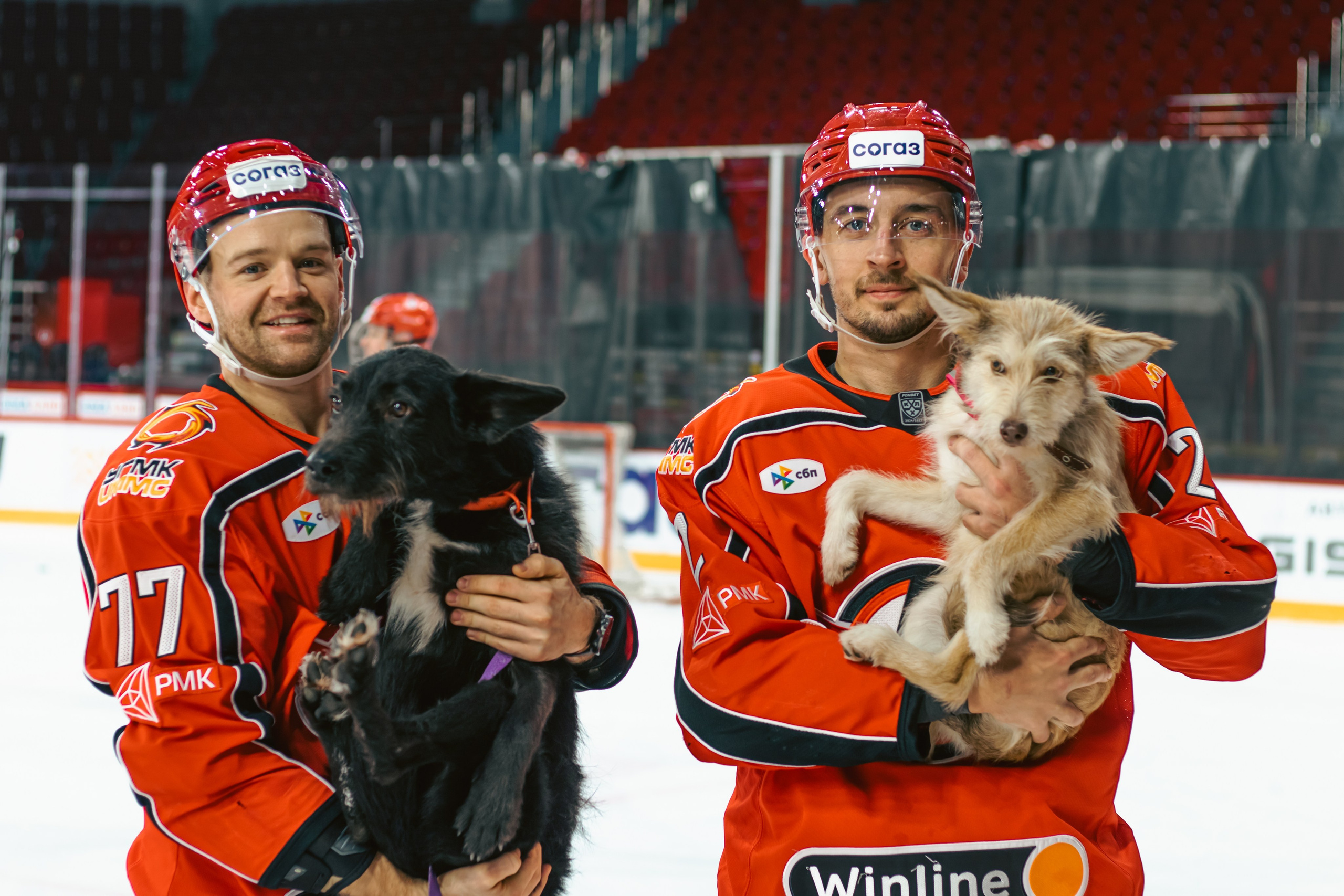 ПУШИСТЫЙ МАТЧ. Фотограф в Екатеринбурге Ирада Баянгулова