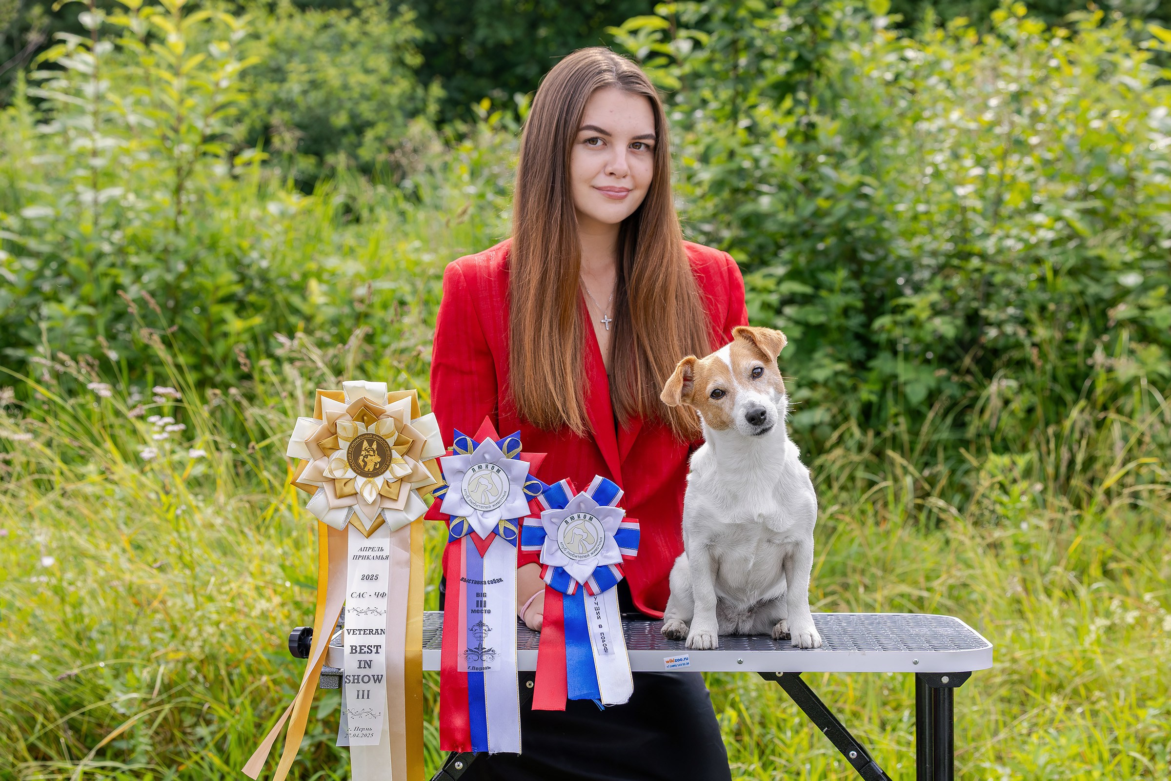 28 июня 2025, Выставка РКФ, г. Кунгур. Htykk_photo