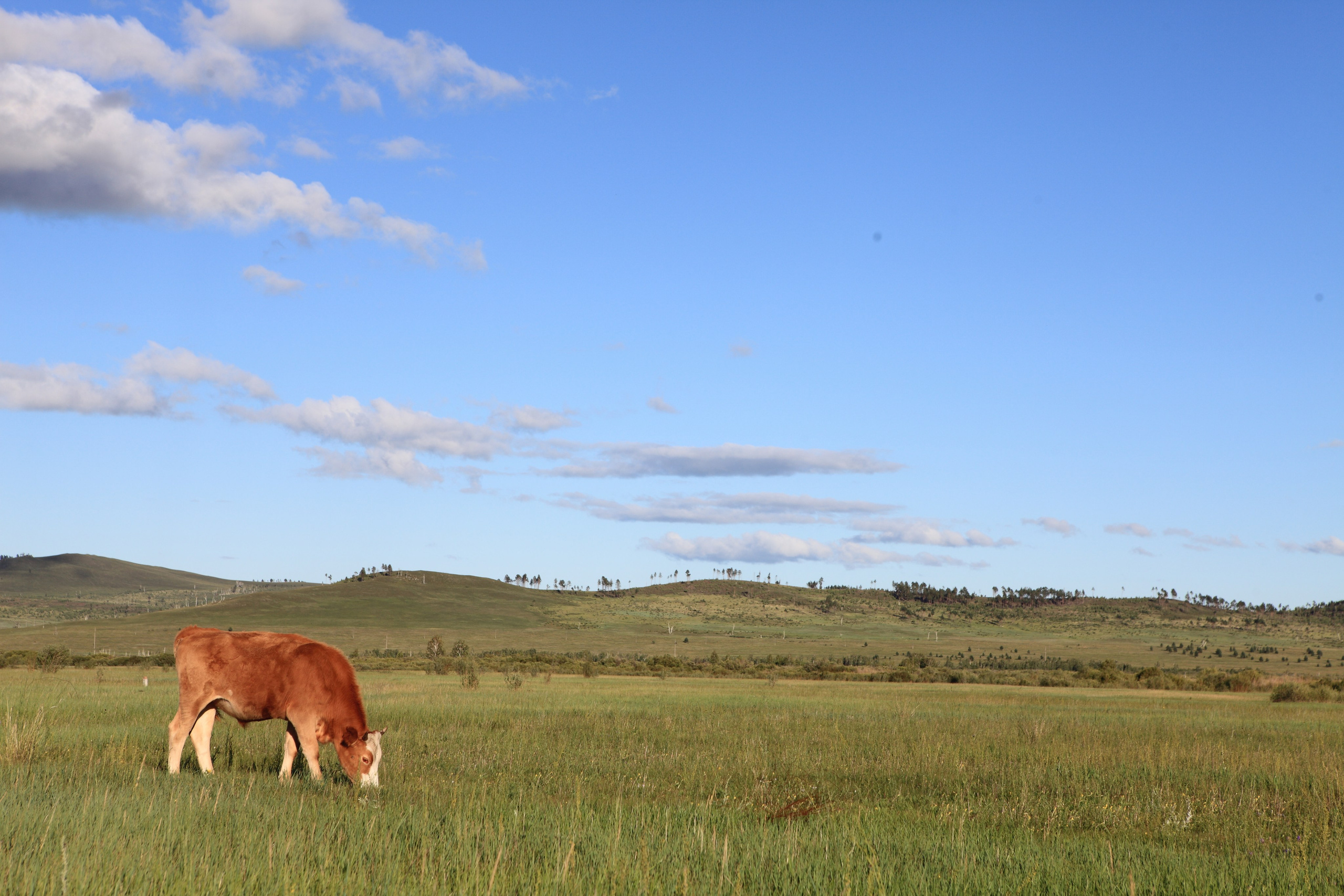 Фото Природы Забайкалья. Студия Максима Белослюдцева