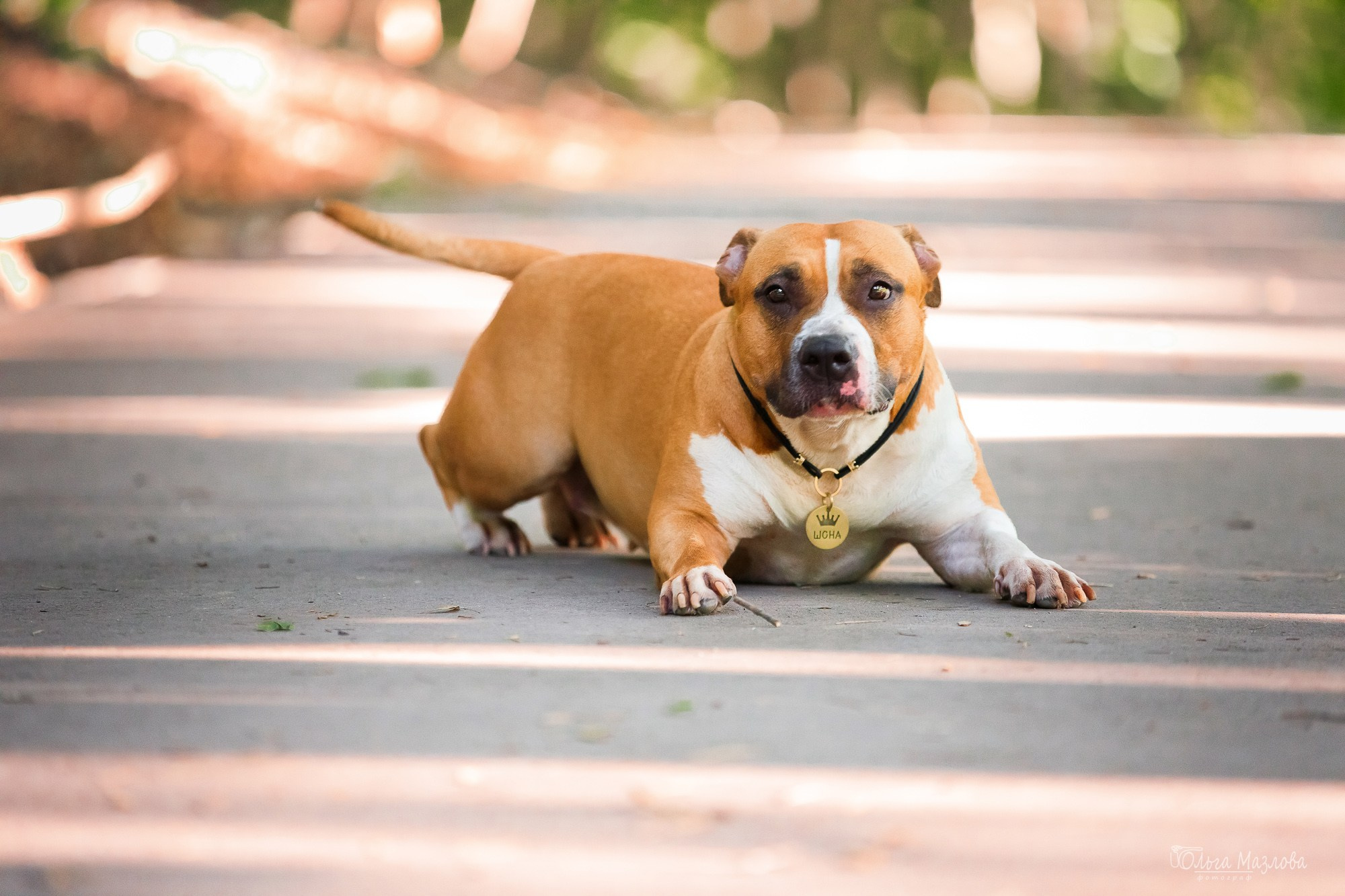 Шона и ее семья. Фотограф в Саратове Ольга Мазлова