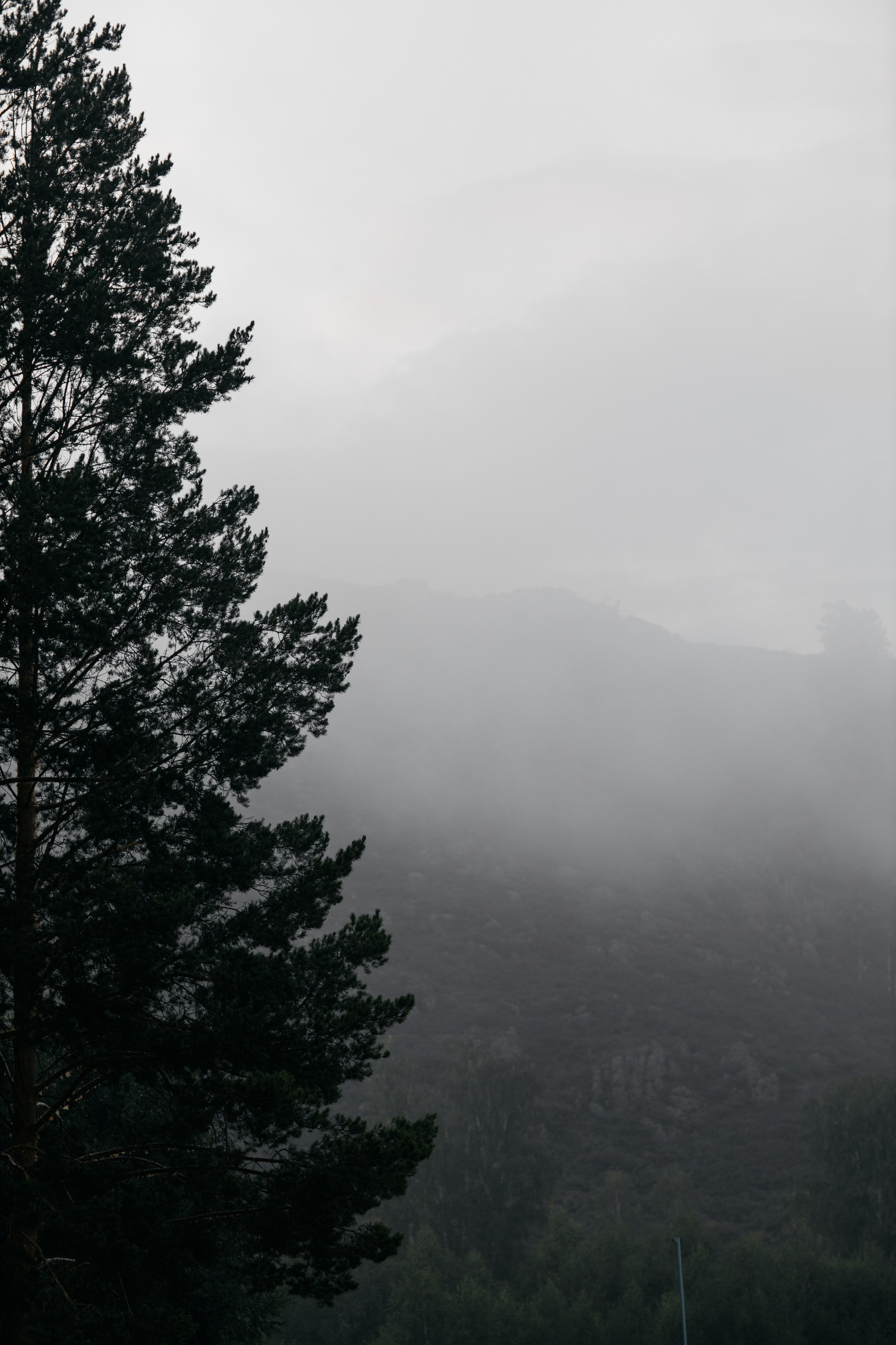 Любовь похожая на сон. Андрей и Анастасия. Свадебный и семейный фотограф в Магнитогорске Катя Буряк