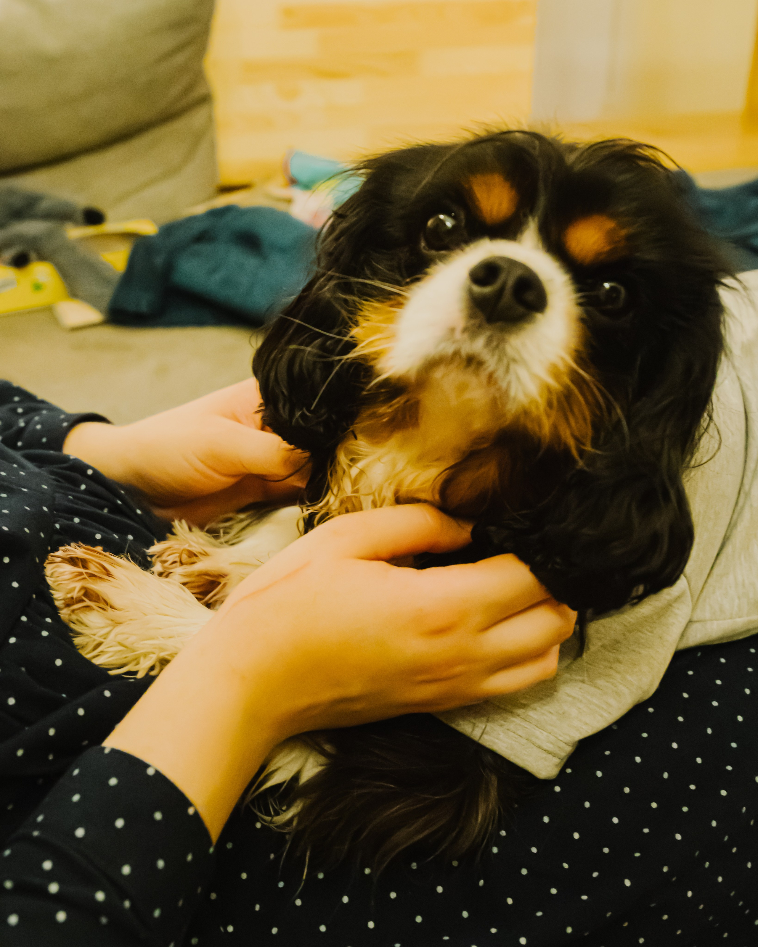 Гилдин. Портретный фотограф Ванинен Анастасия. Санкт-Петербург