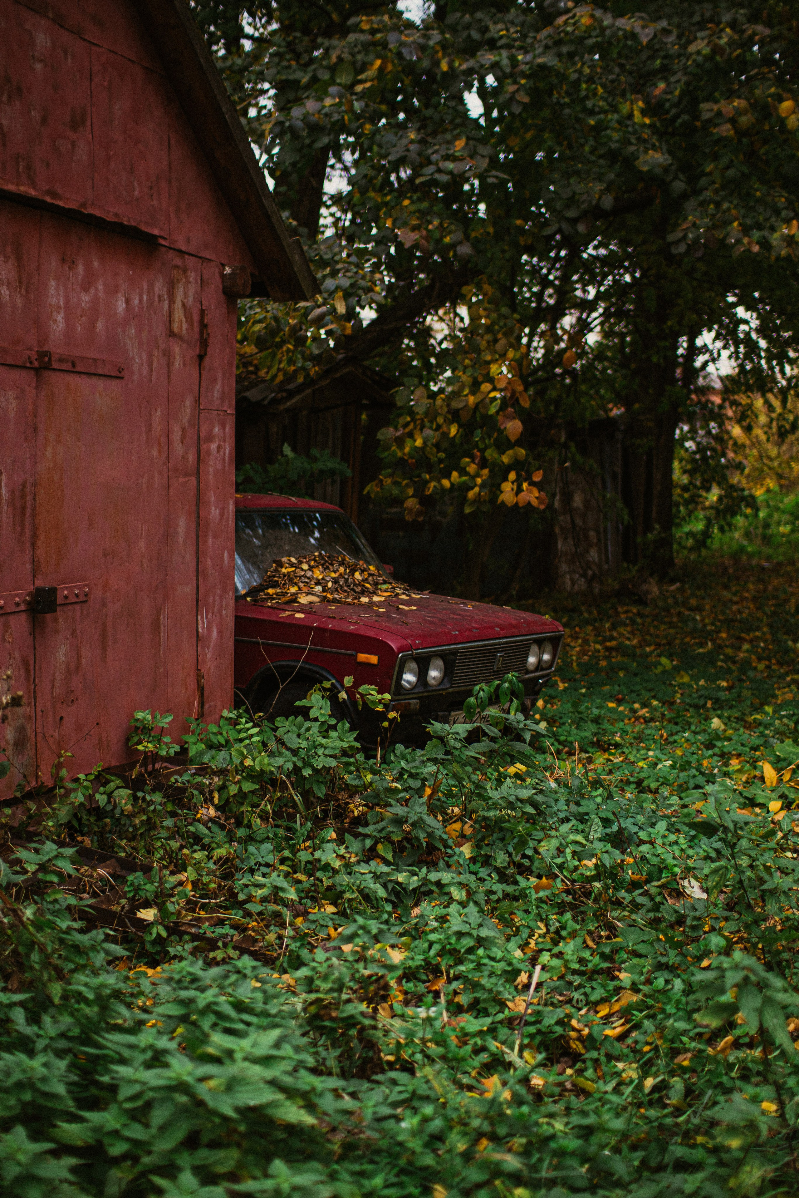 Автопутешествие по России на Range Rover, Discovery , Defender. Жуков Илья  свадебный фотограф в Москве