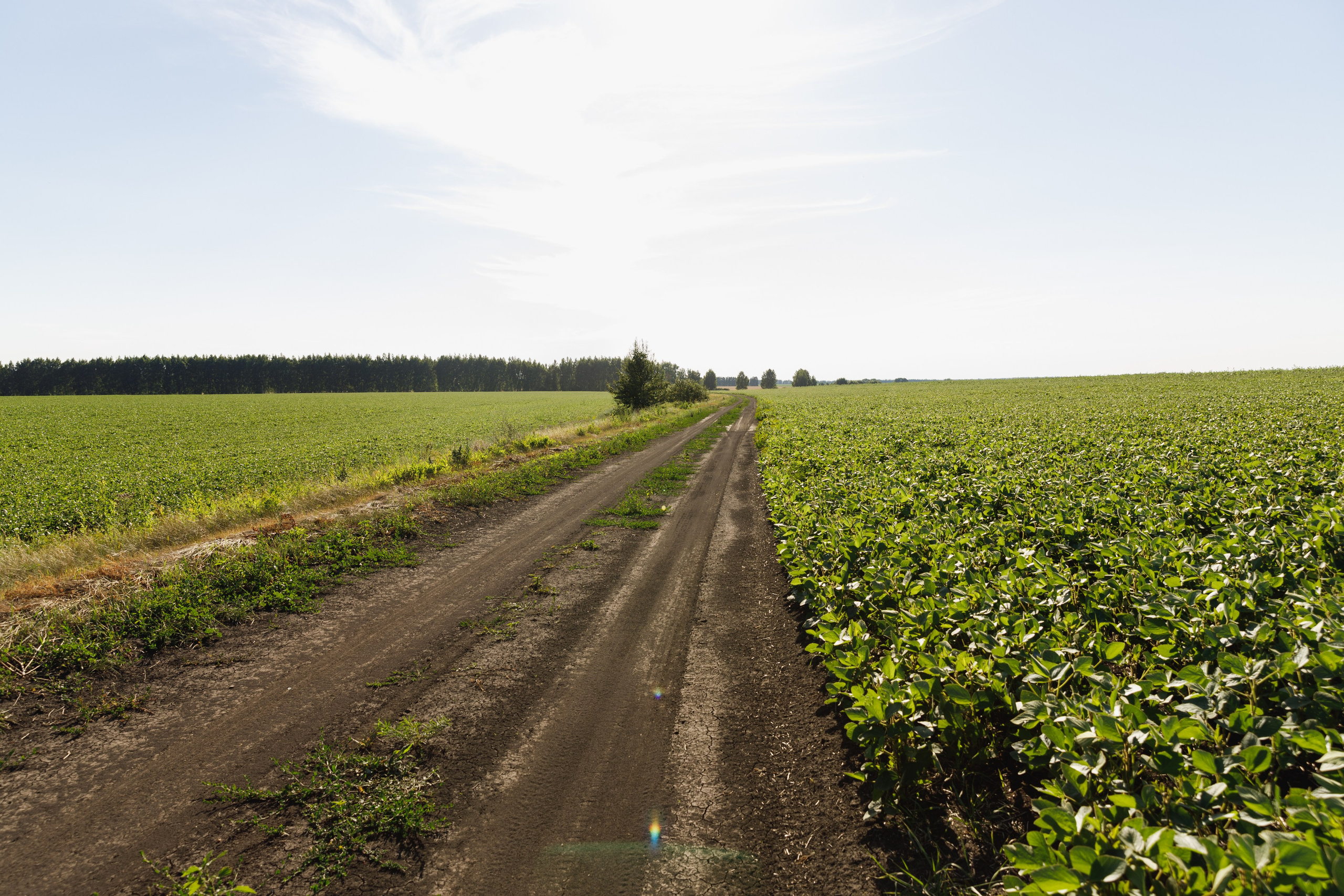 BASF. Конференция 2024. Фотограф Липецк. Фотограф в Липецке Татьяна Минаева. Портретный фотограф Липецк. Свадебный фотограф Липецк. Бизнес фотограф Липецк