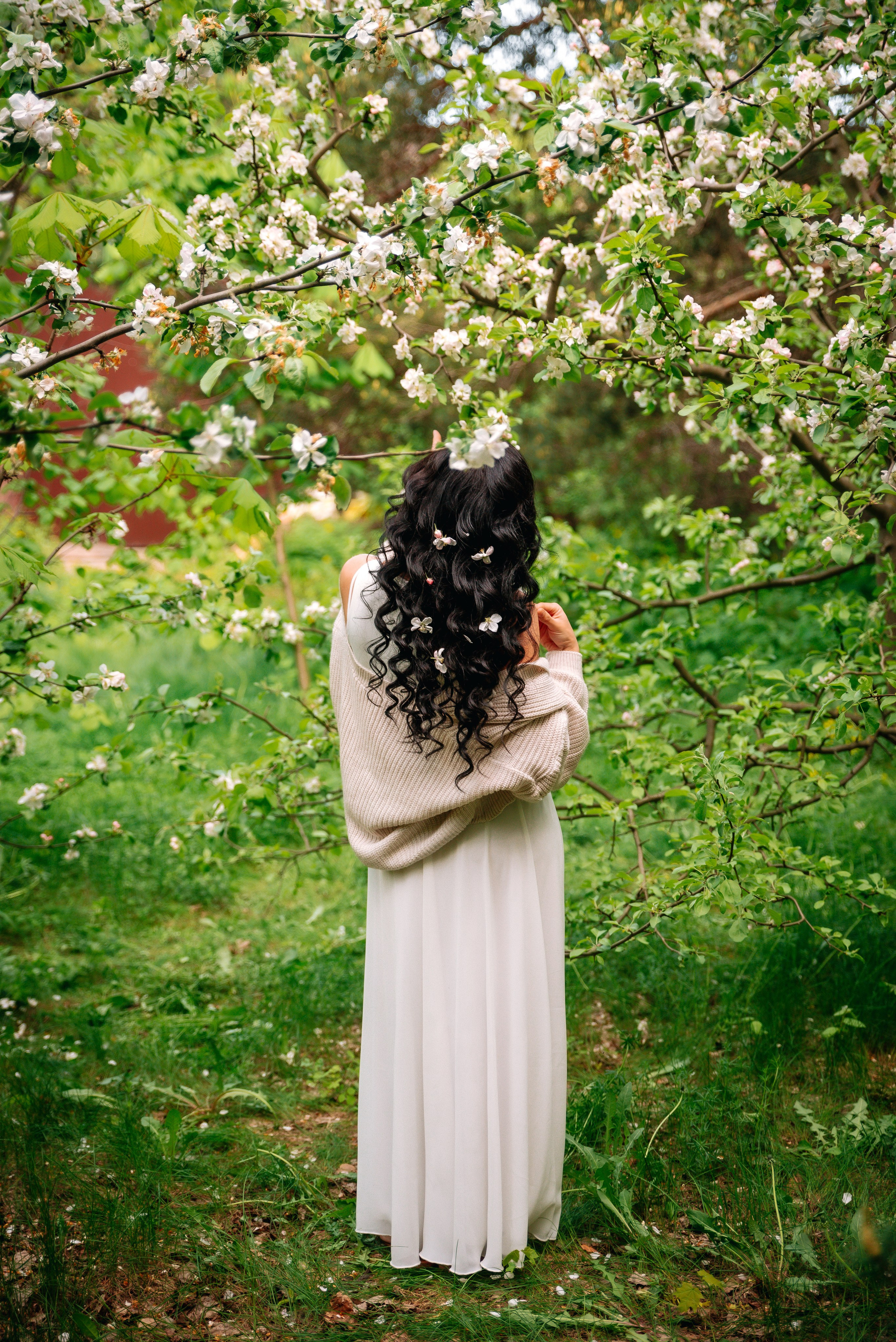 Дарья и цветущий май. Главная