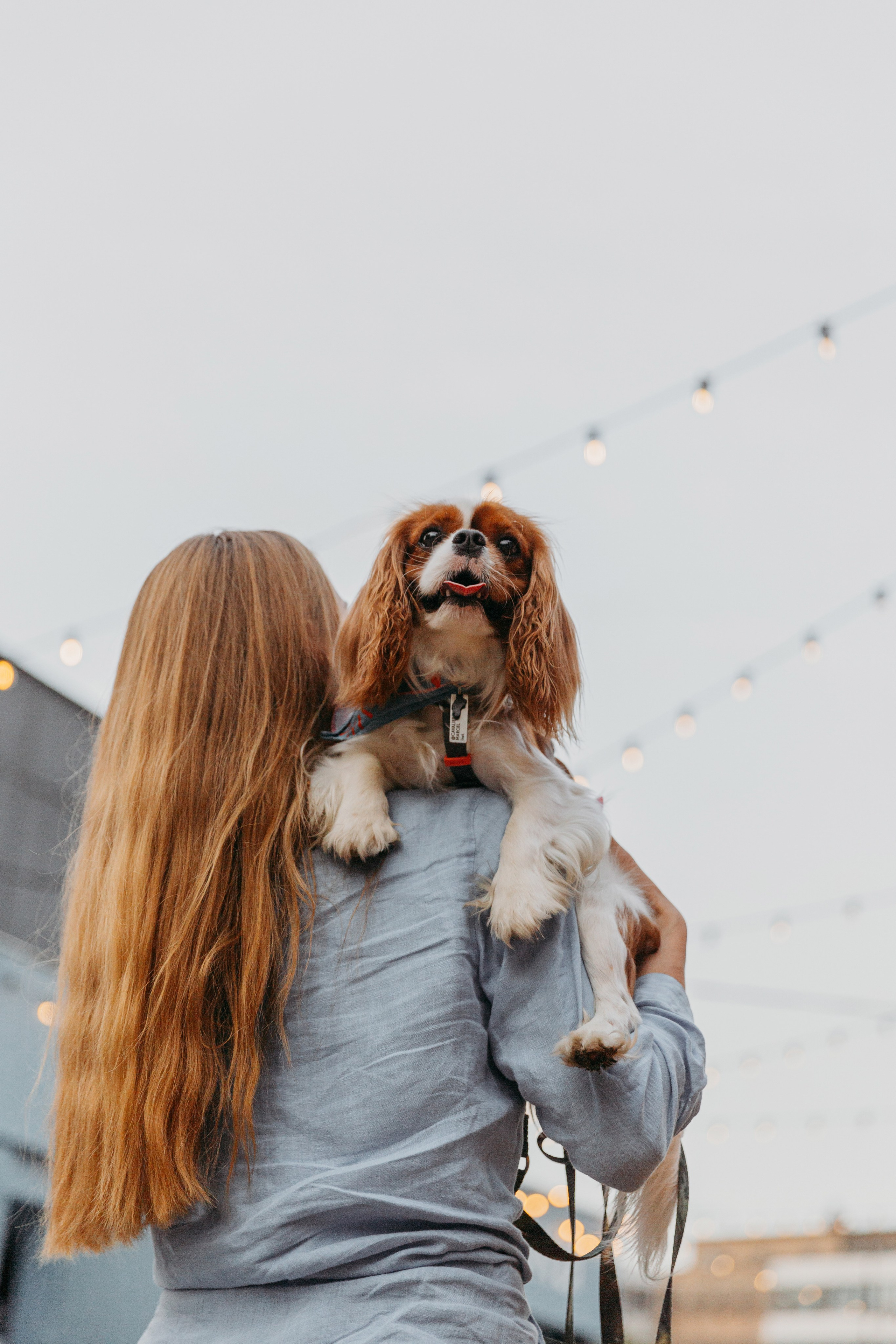 Настя, Антон и Марсель. Фотограф-анималист в Москве Соломонова Варвара