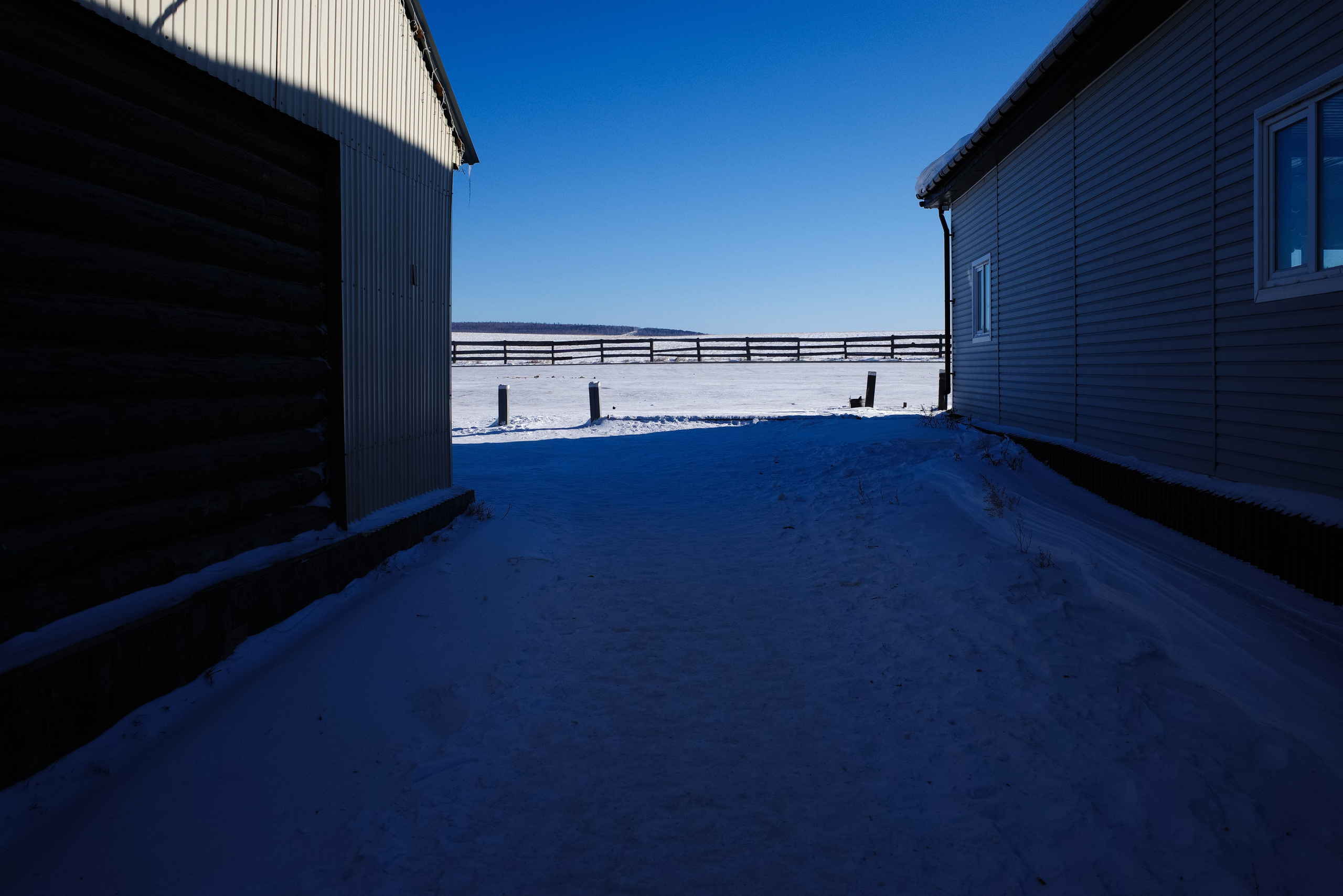 Безмолвие пустоши. Междисциплинарный художник Екатерина Старовойтова