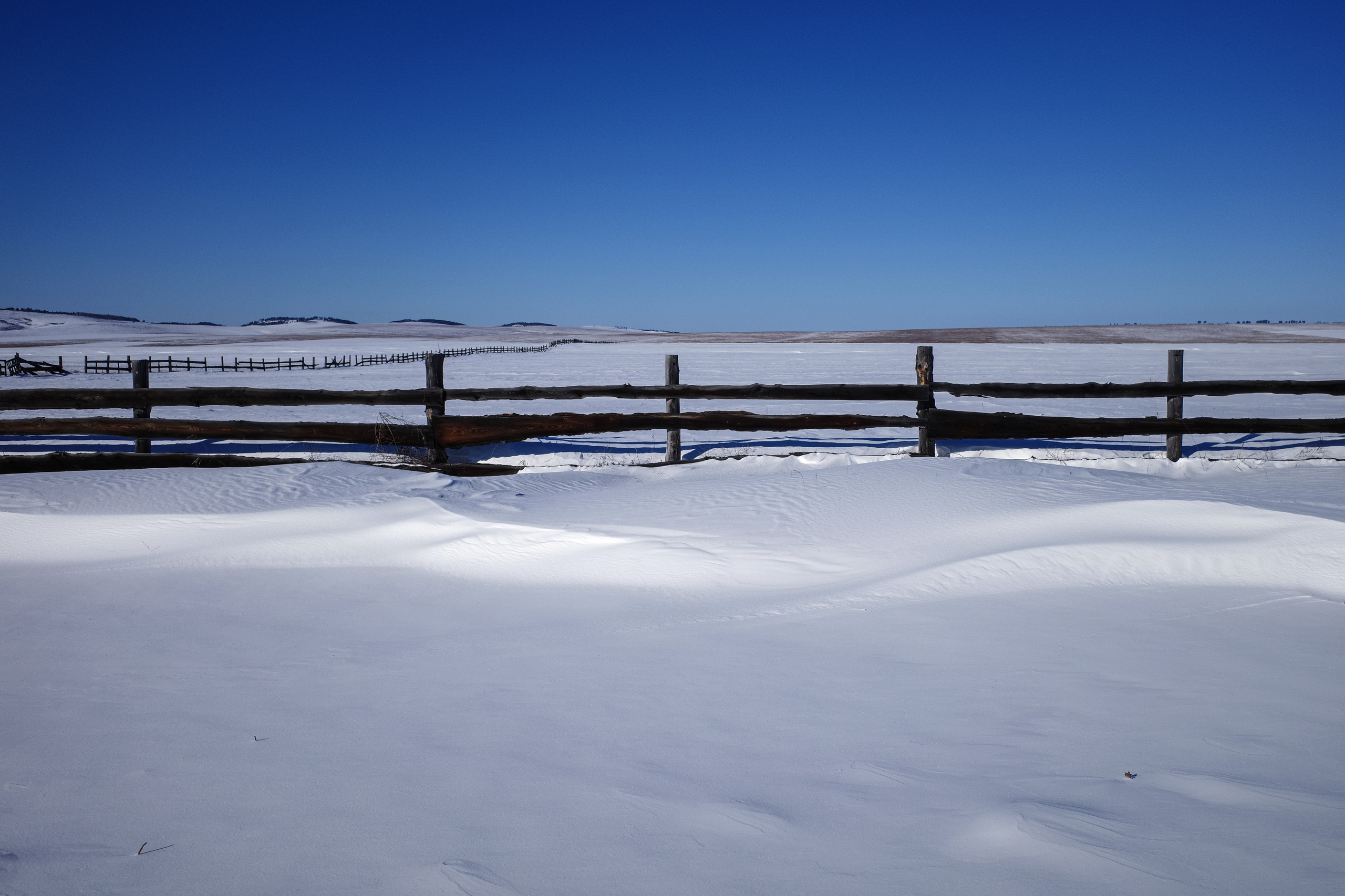 Безмолвие пустоши. Междисциплинарный художник Екатерина Старовойтова