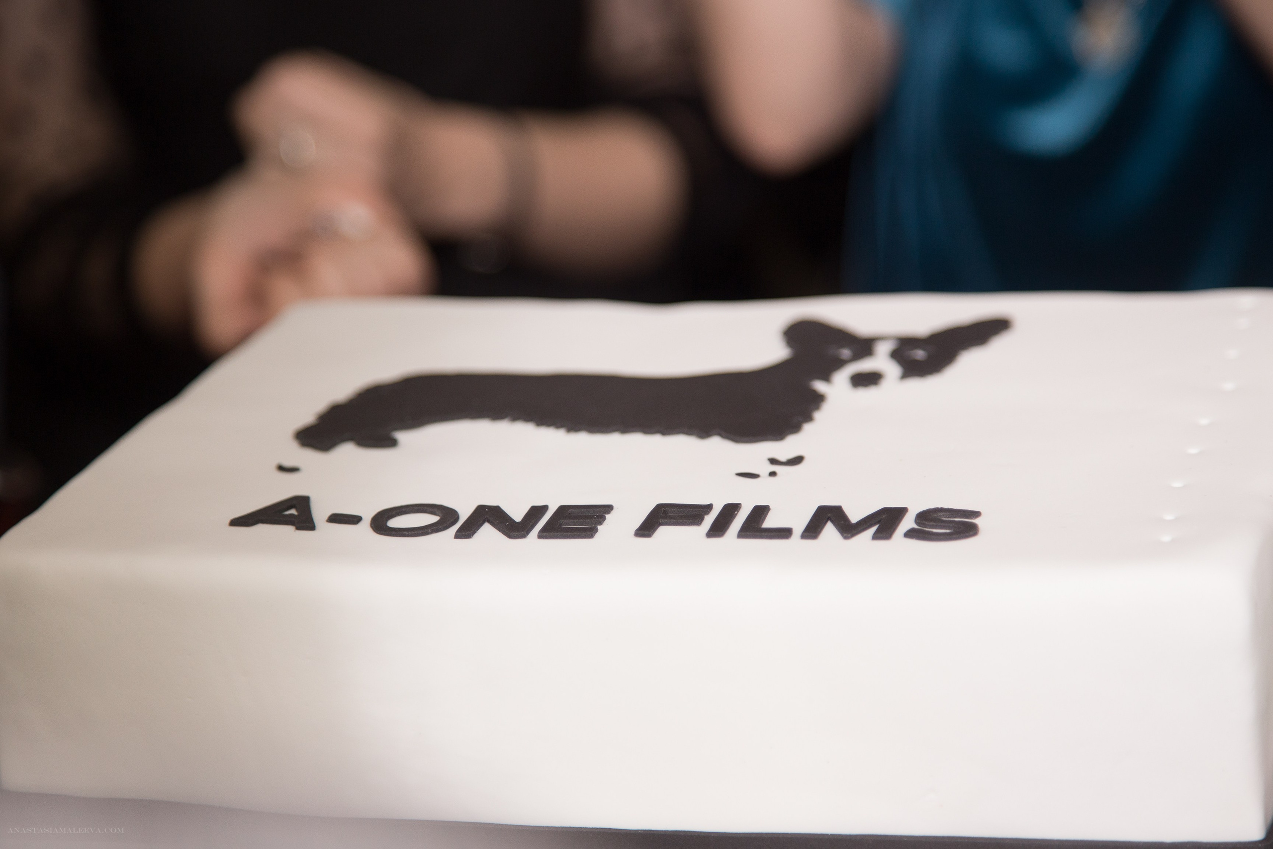 День Рождения A-One. Фотограф Анастасия Малеева