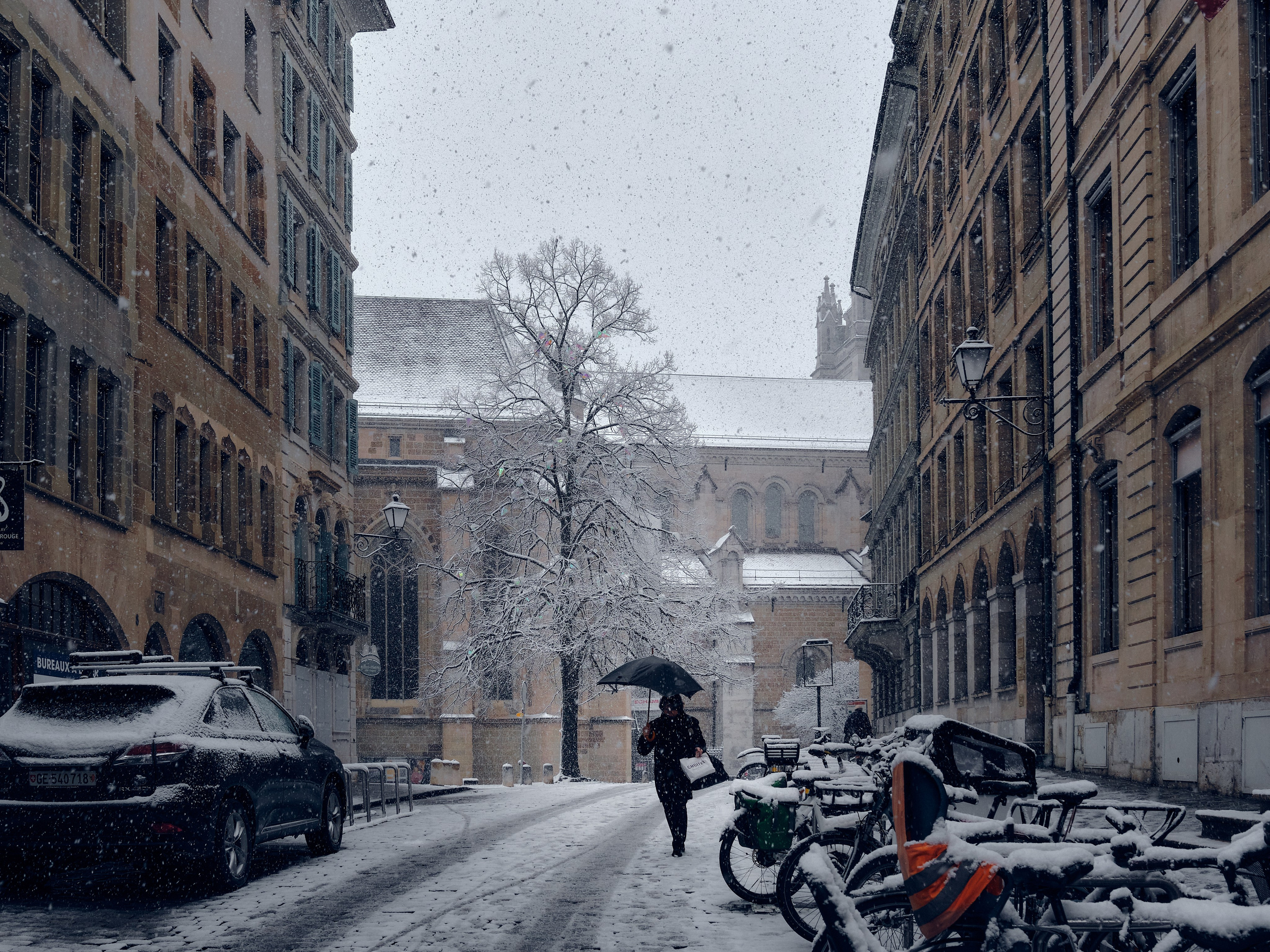 Geneva / winter 2024. Aleksandr Kobtsev