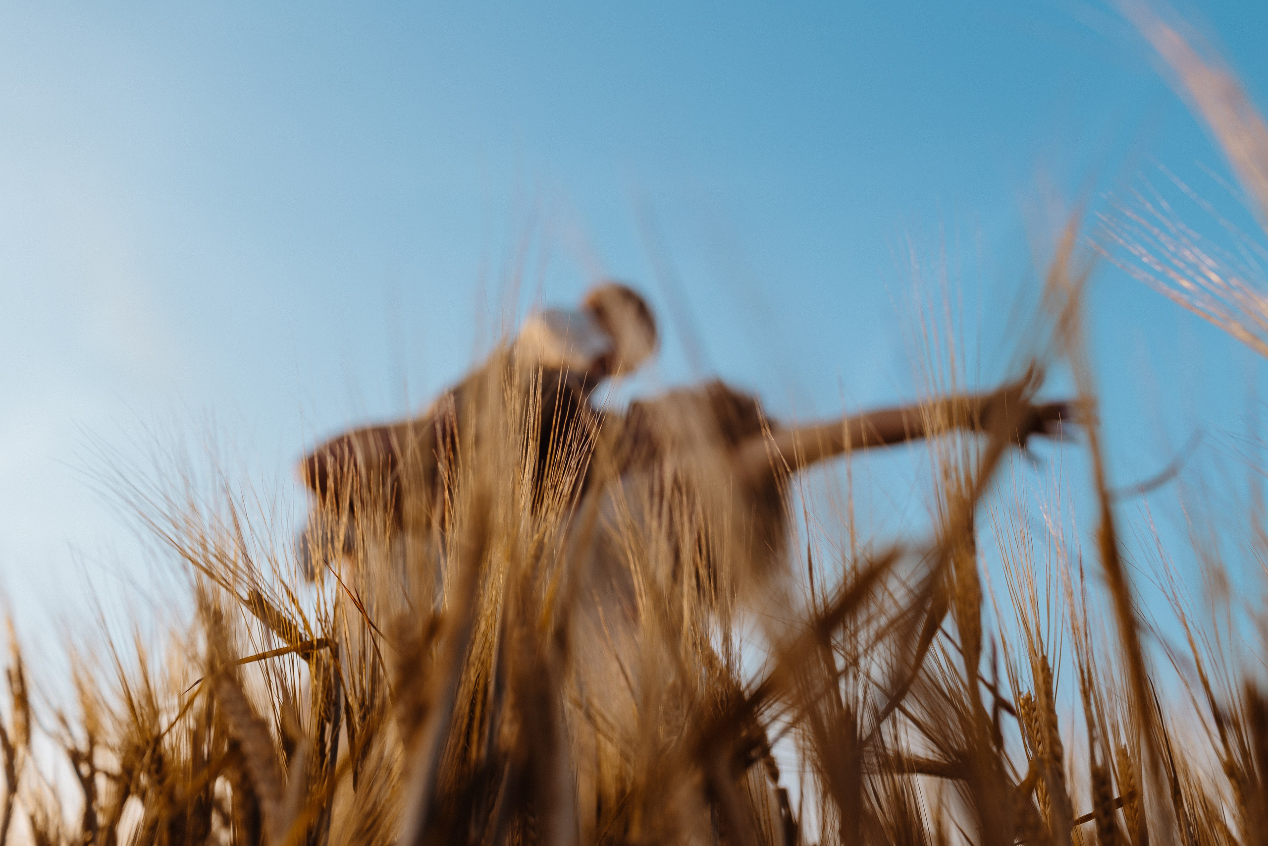 Золотое счастье. Фотограф Лодейное Поле Екатерина Герасимова в Санкт-Петербурге и Лен. области