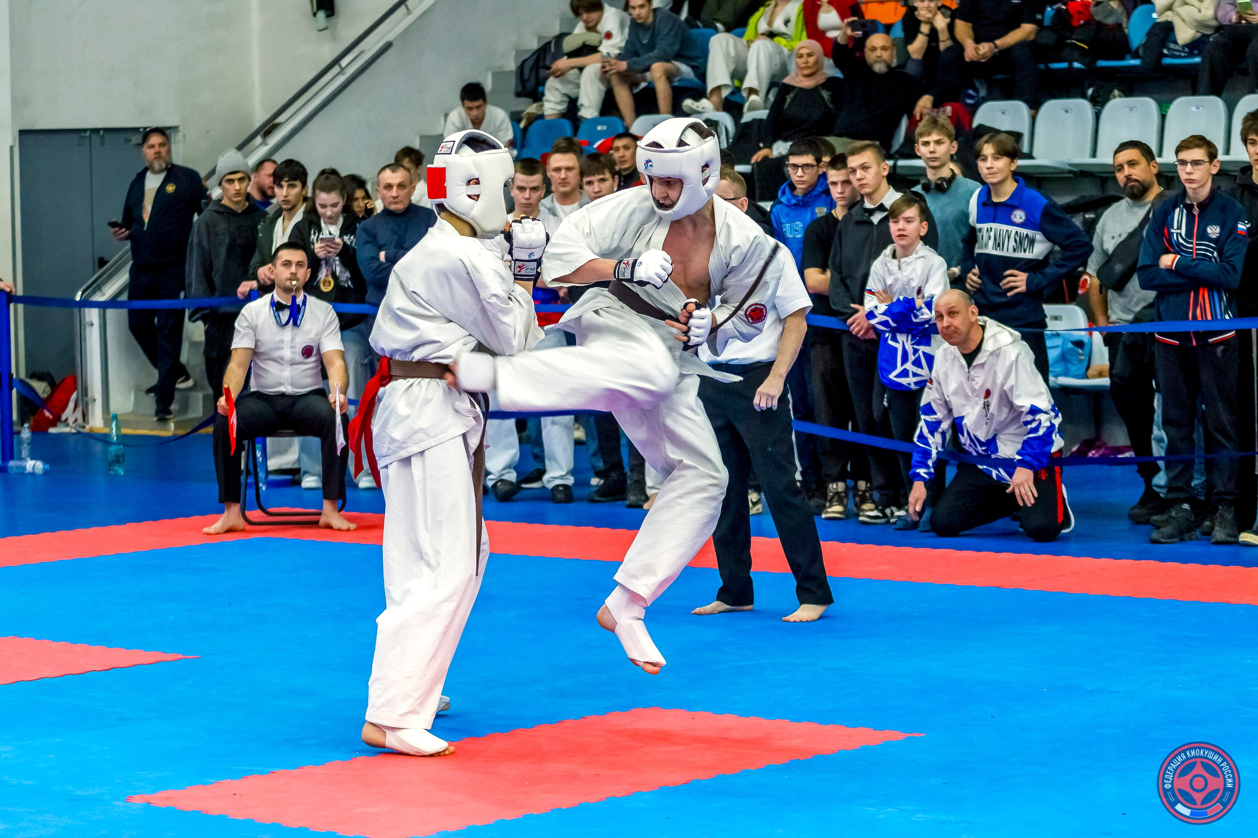 Международный турнир по киокушин «Открытый кубок Seiken». Репортажная съемка в Москве и области. Анималистика