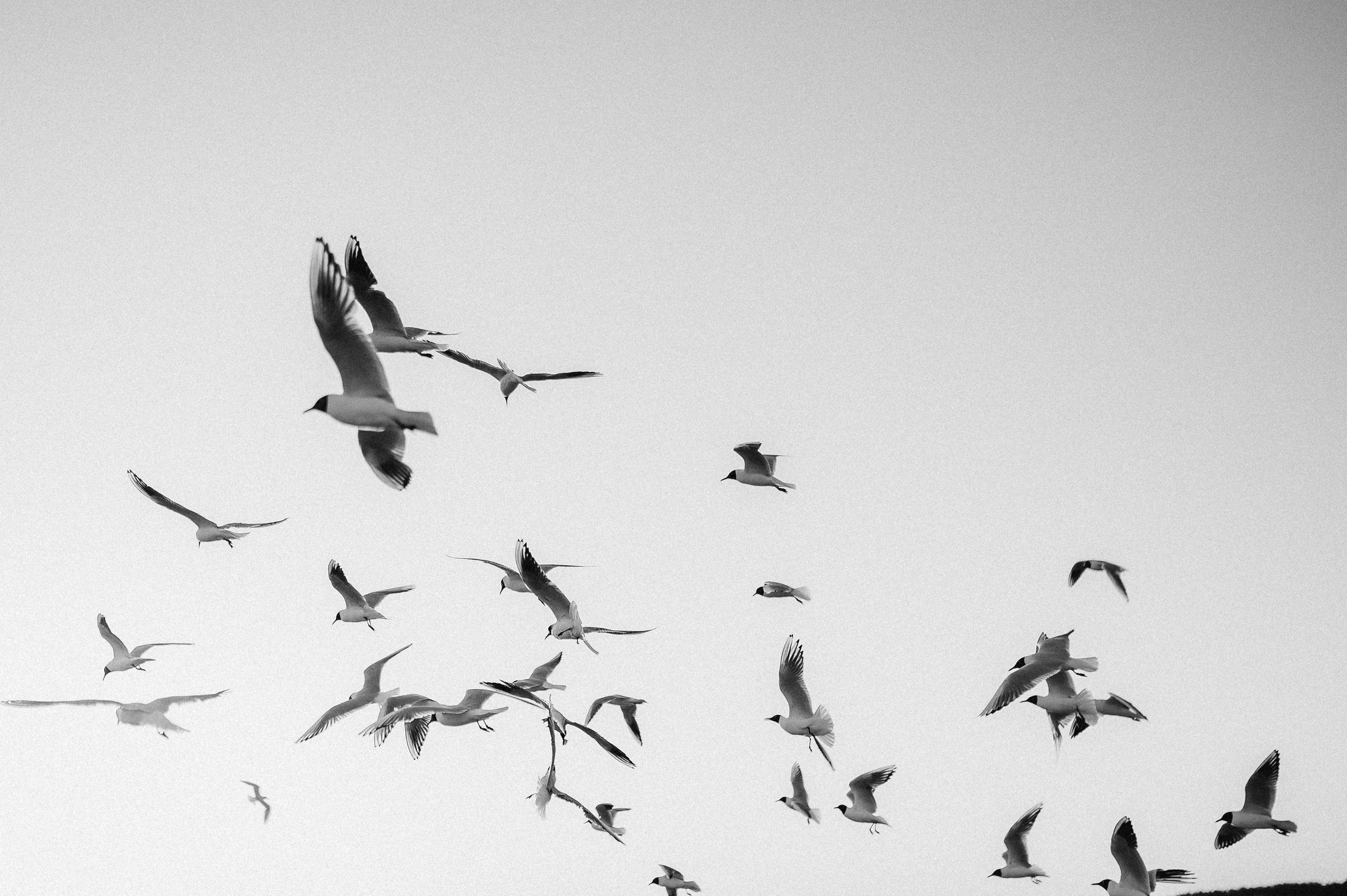 Семейная на заливе. Фотограф ПИТЕР СПБ Надежда Баранова