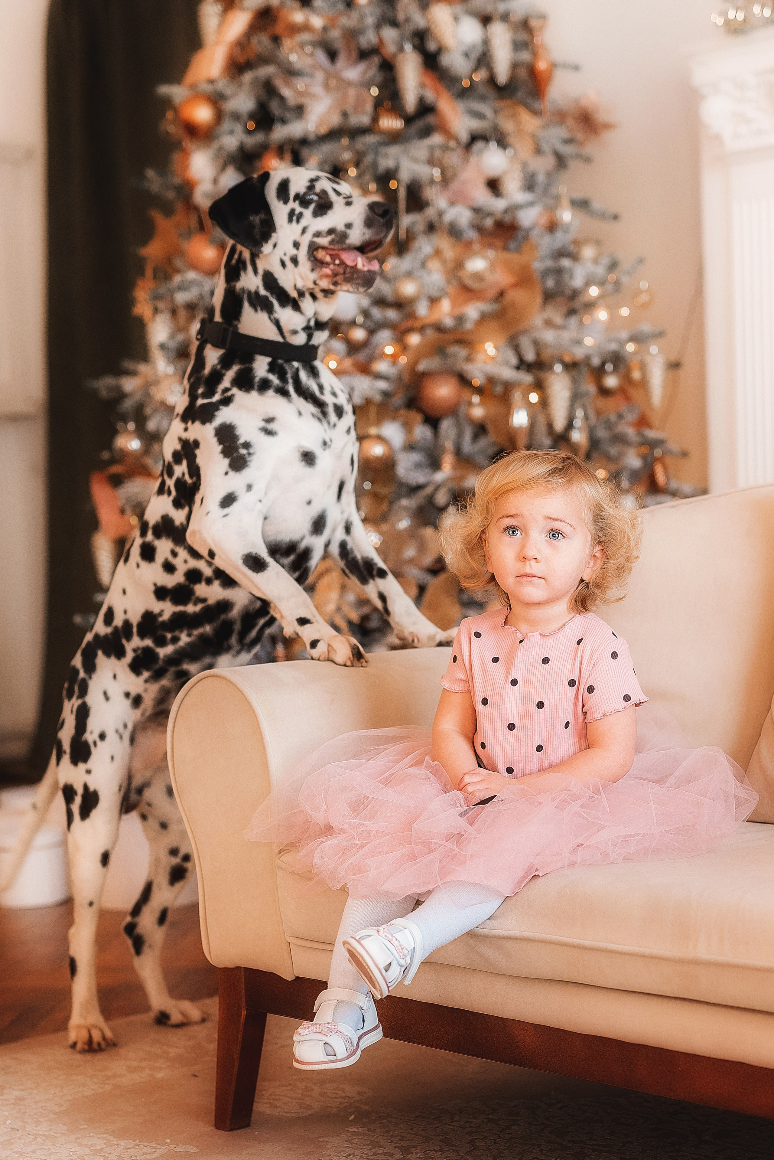 Фотосессия с далматинцем. Семейный, детский фотограф в Воронеже Анна Никитина