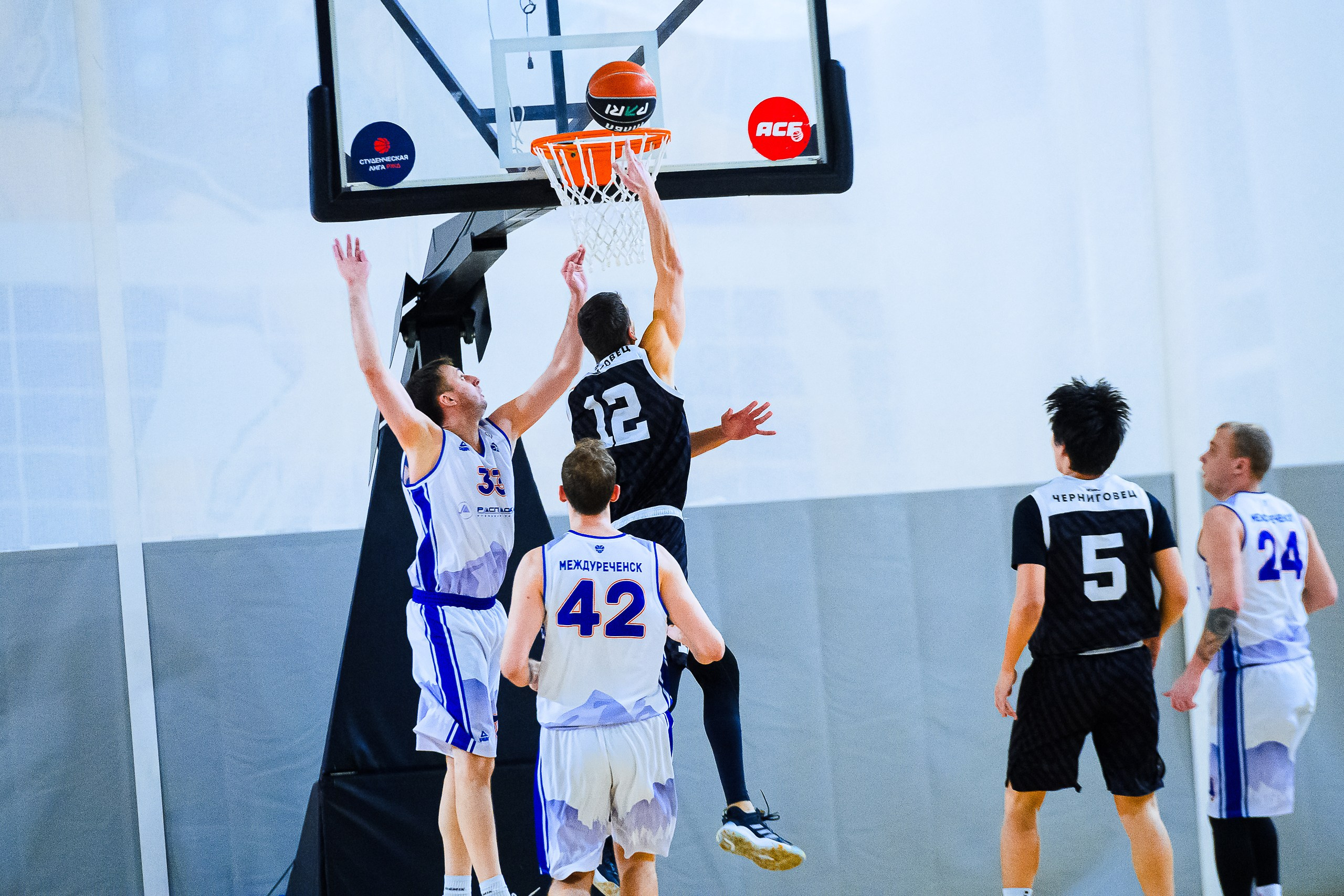 Сибирская баскетбольная лига 2025. Репортажный фотограф в Кемерово