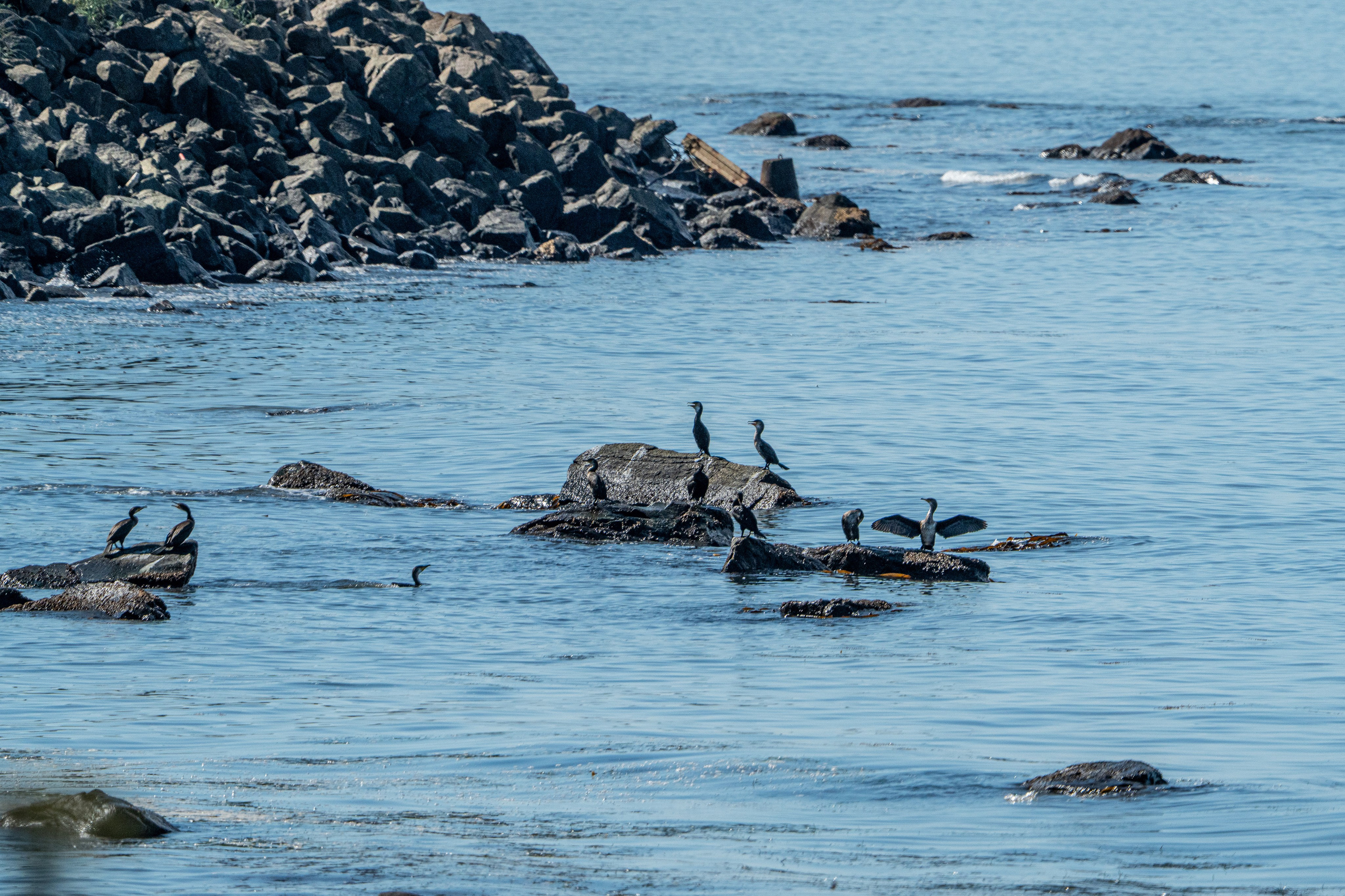 Сахалин 2025. Творческие сьемки