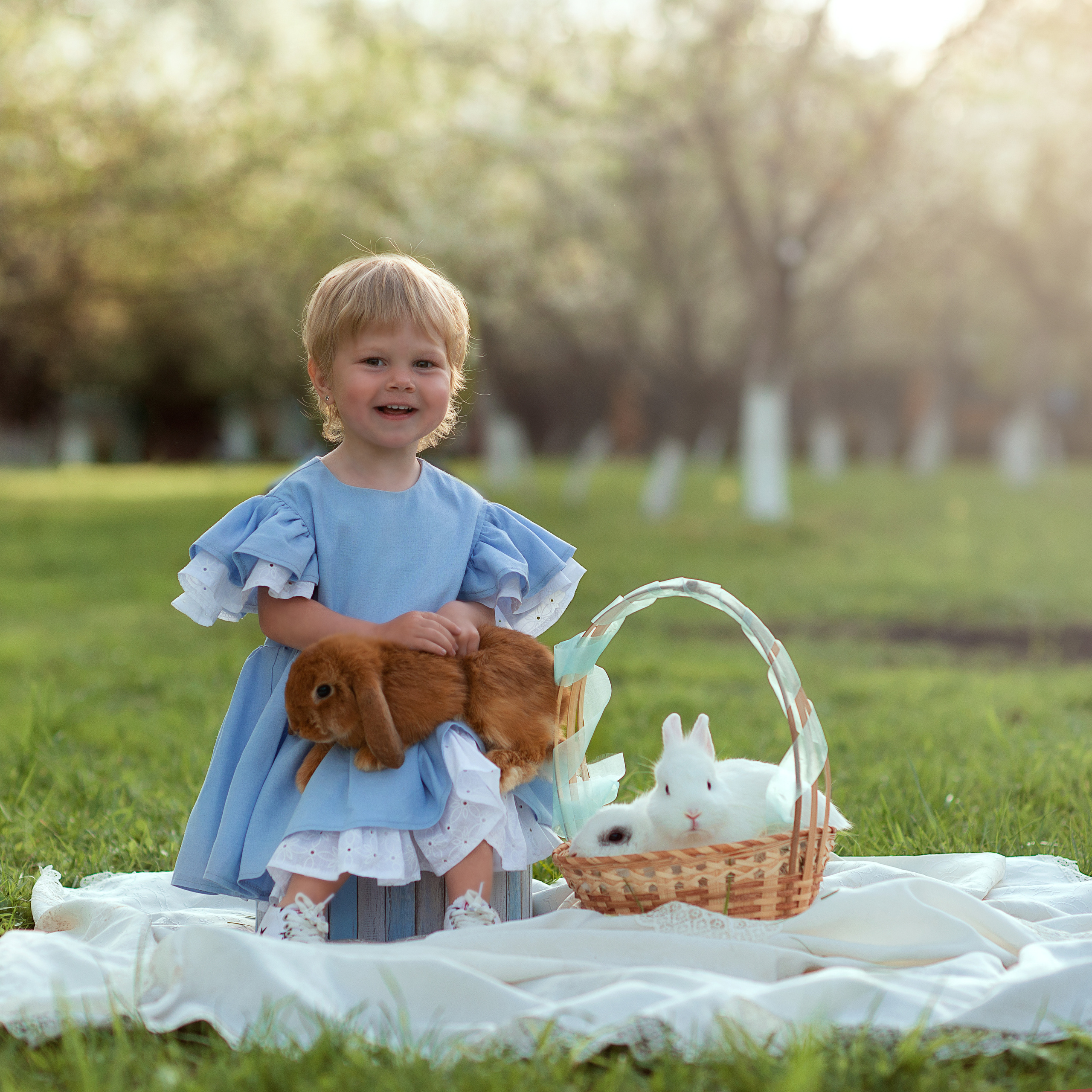 Цветение весной. Фотограф Альбина Вакунова