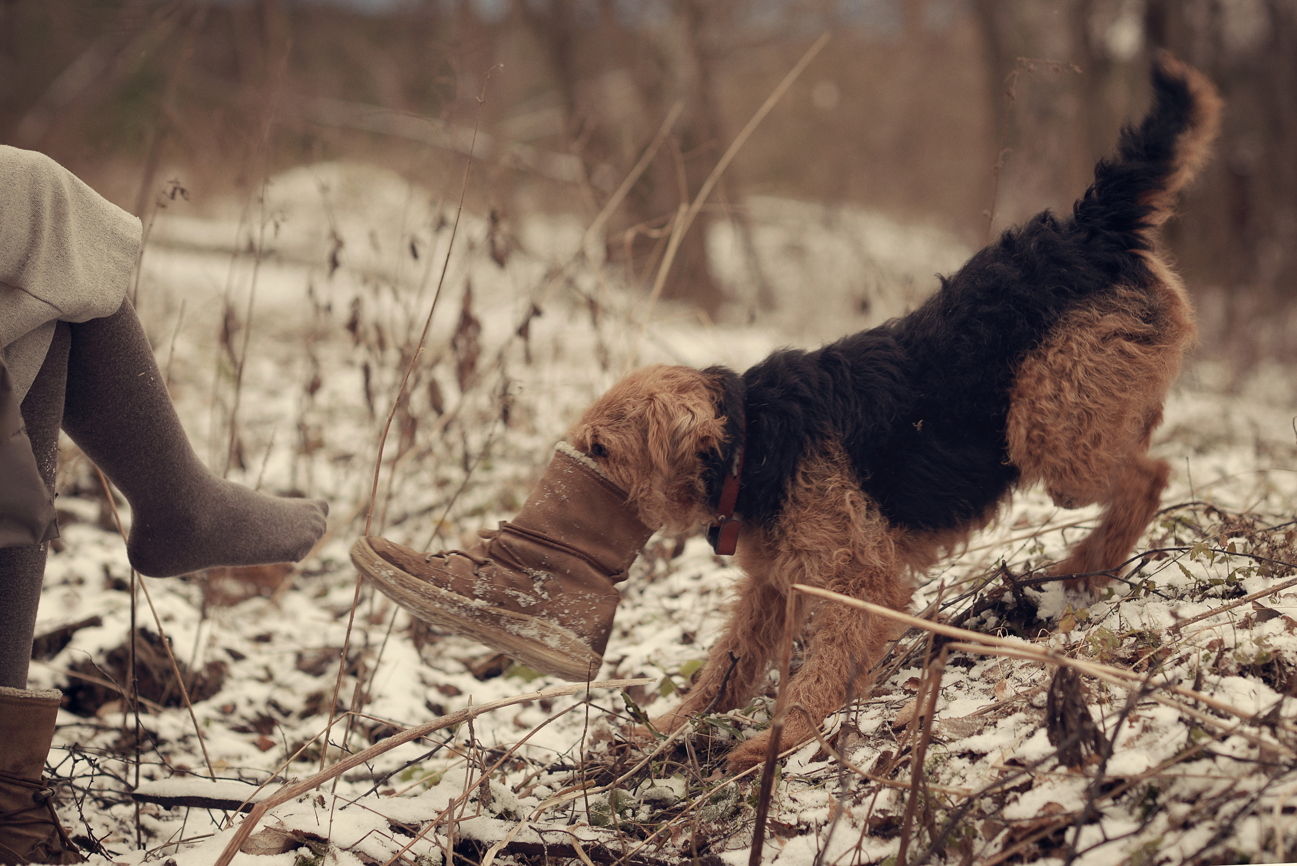 Женя и Вилли. Фотограф Альбина Вакунова