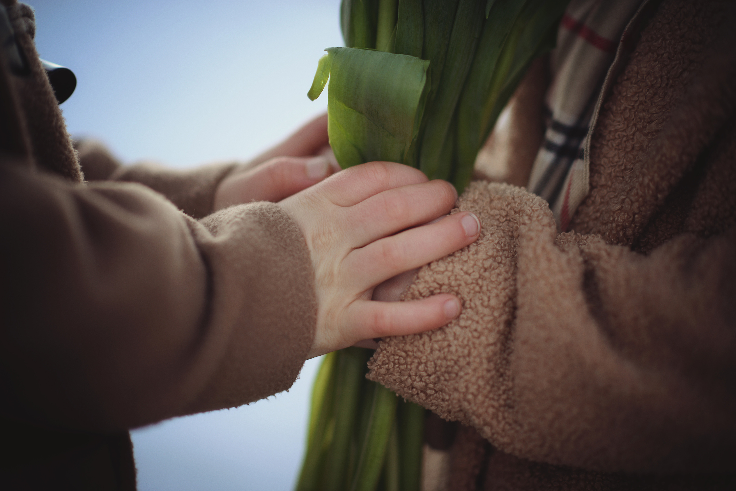 8 марта. Фотограф Альбина Вакунова