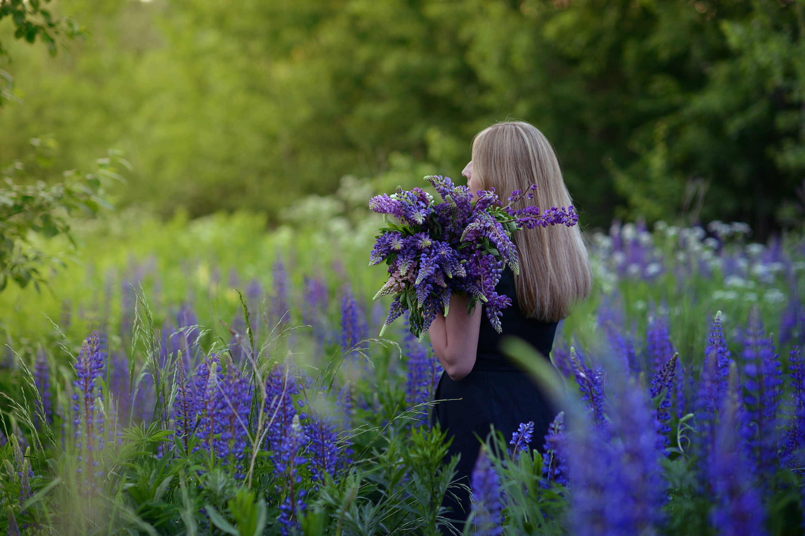 Ксения и люпины. Фотограф Альбина Вакунова