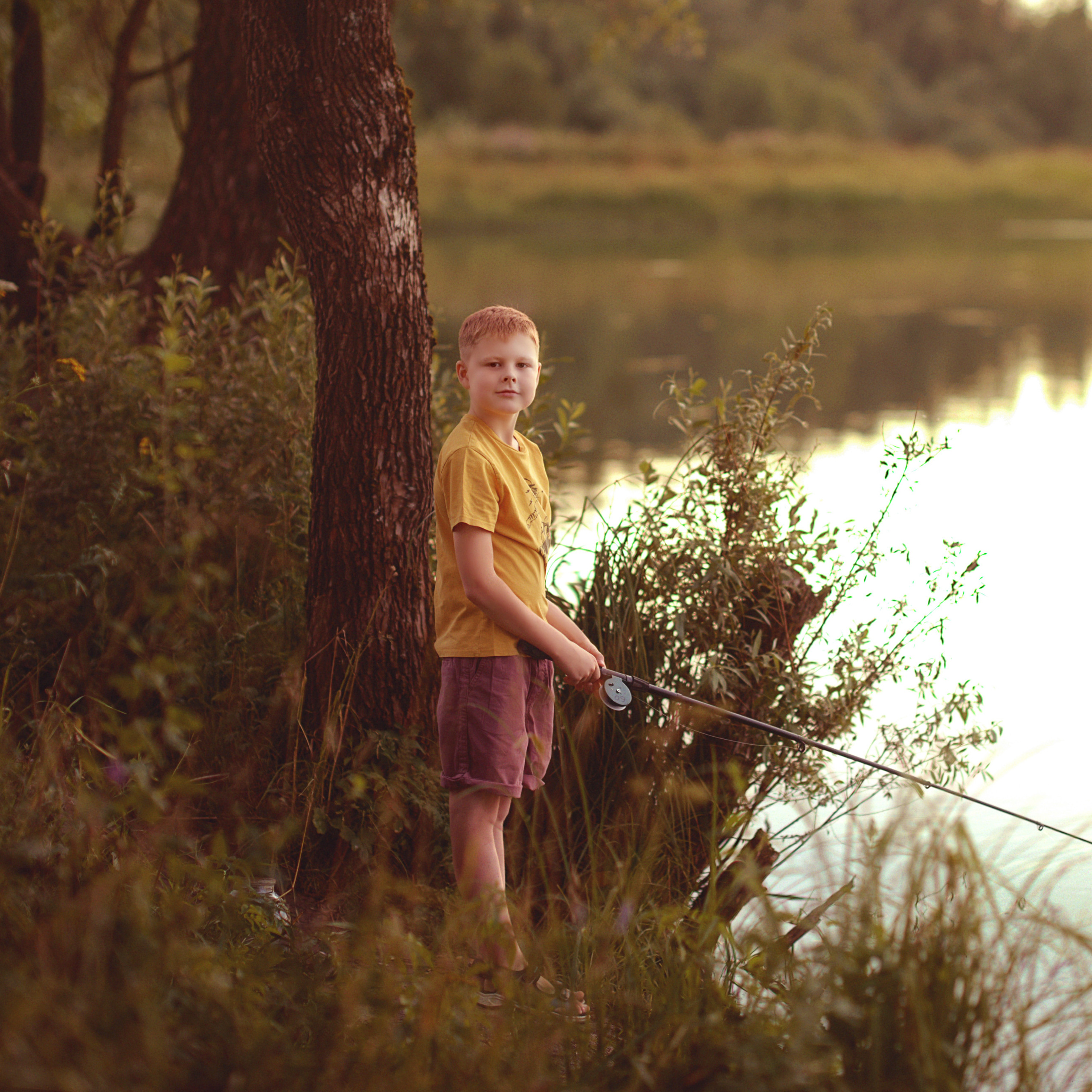Летнее солнце. Фотограф Альбина Вакунова
