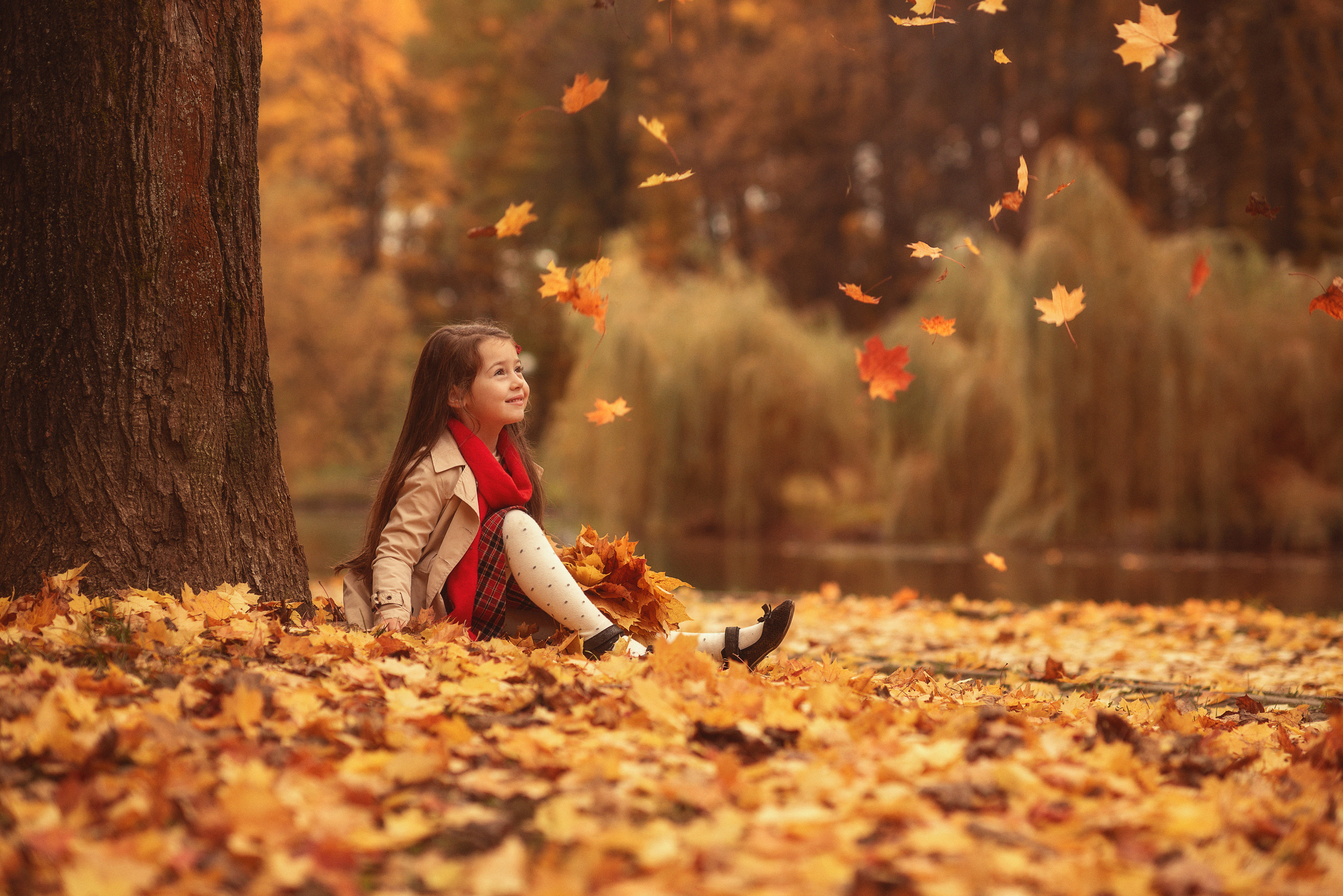 Осенняя история. Фотограф Альбина Вакунова