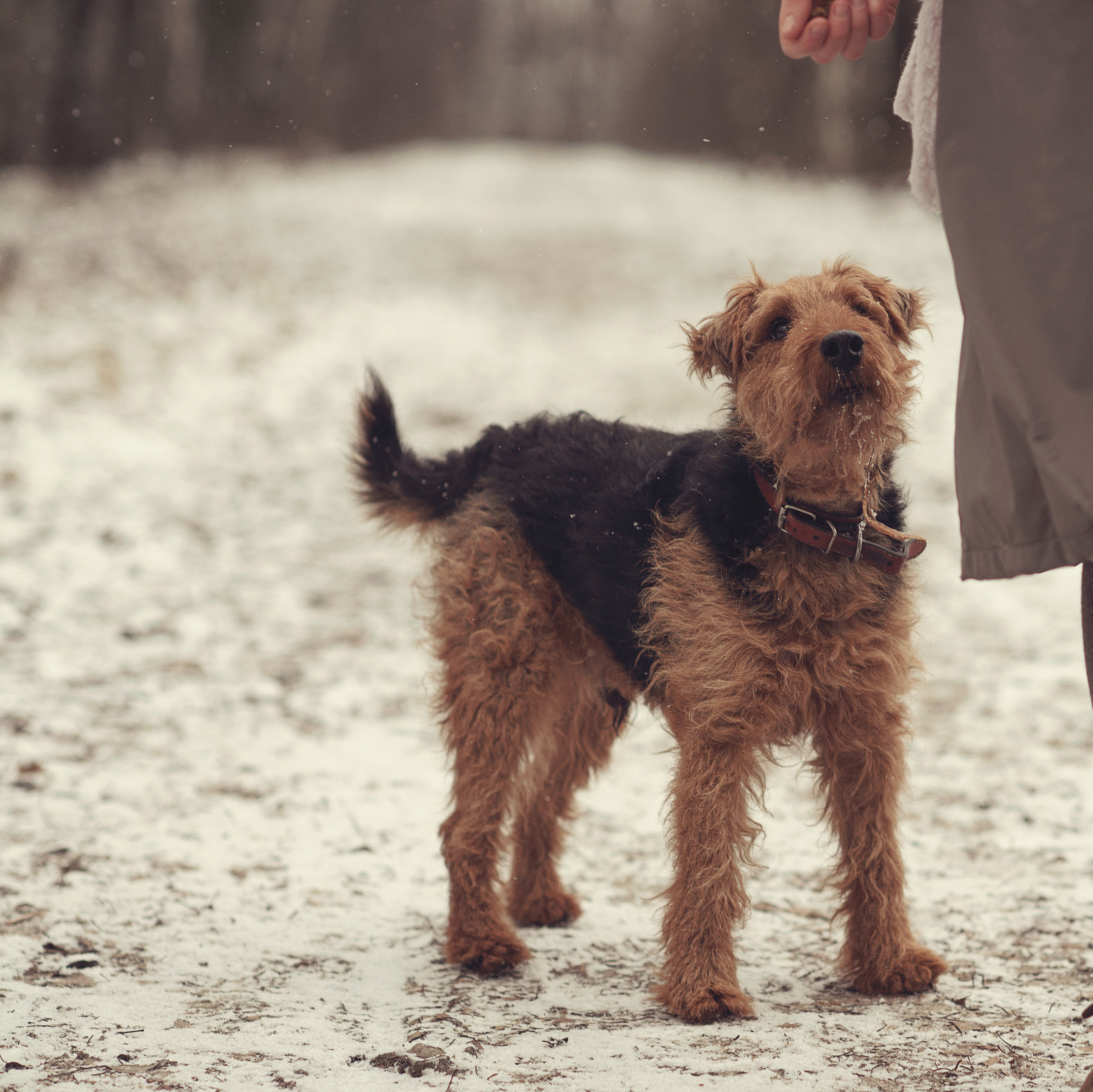 Женя и Вилли. Фотограф Альбина Вакунова