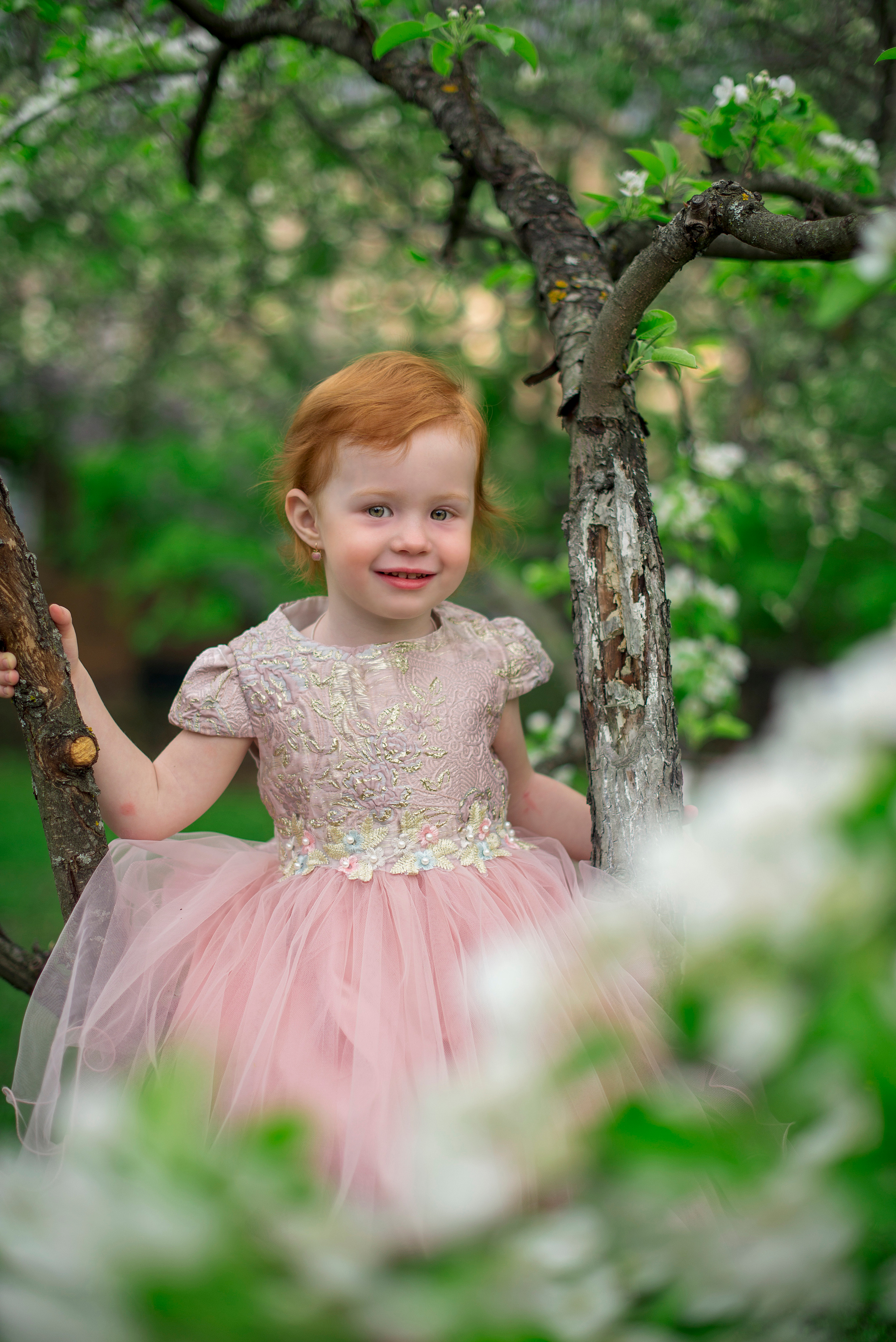 Цветение весной. Фотограф Альбина Вакунова