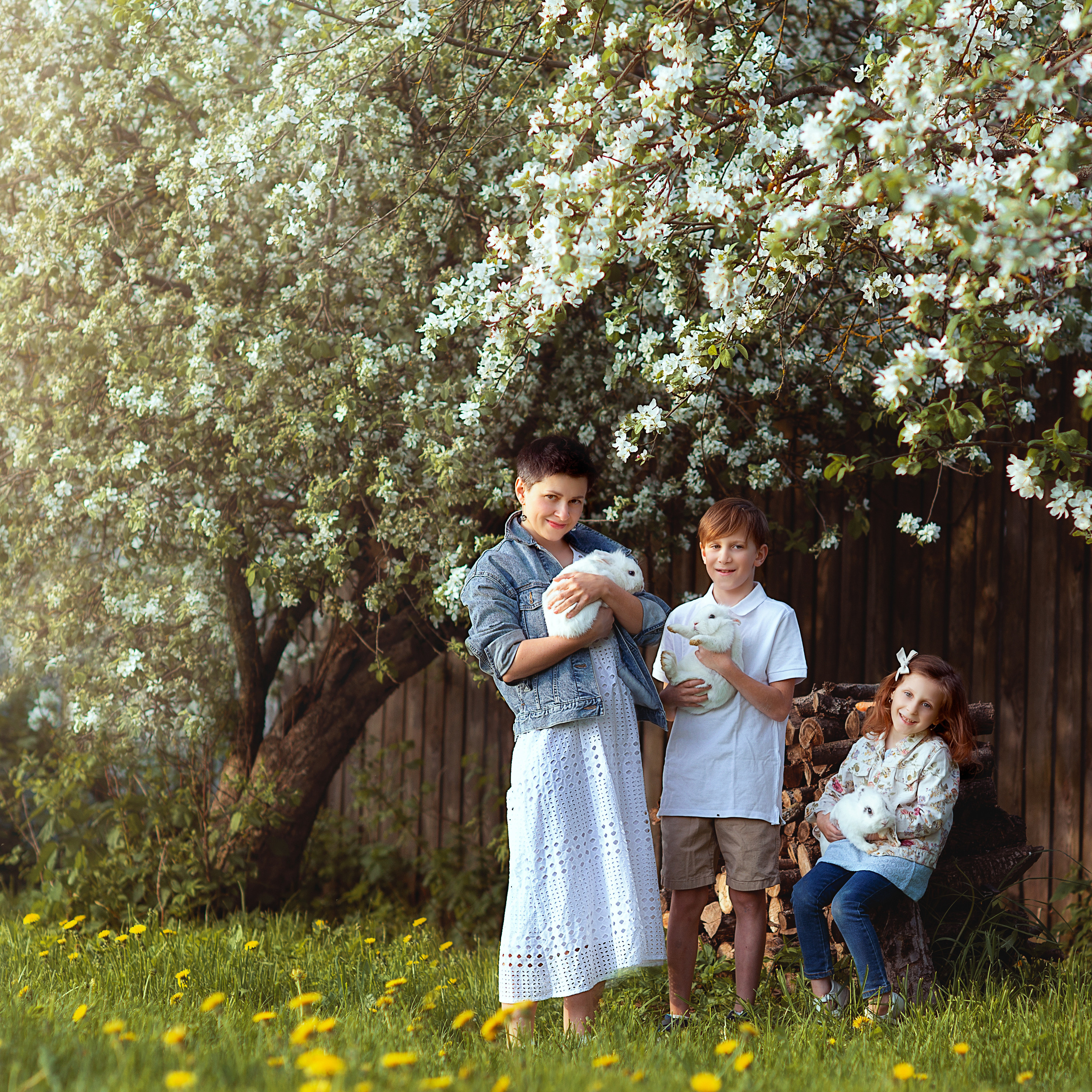 Цветение весной. Фотограф Альбина Вакунова