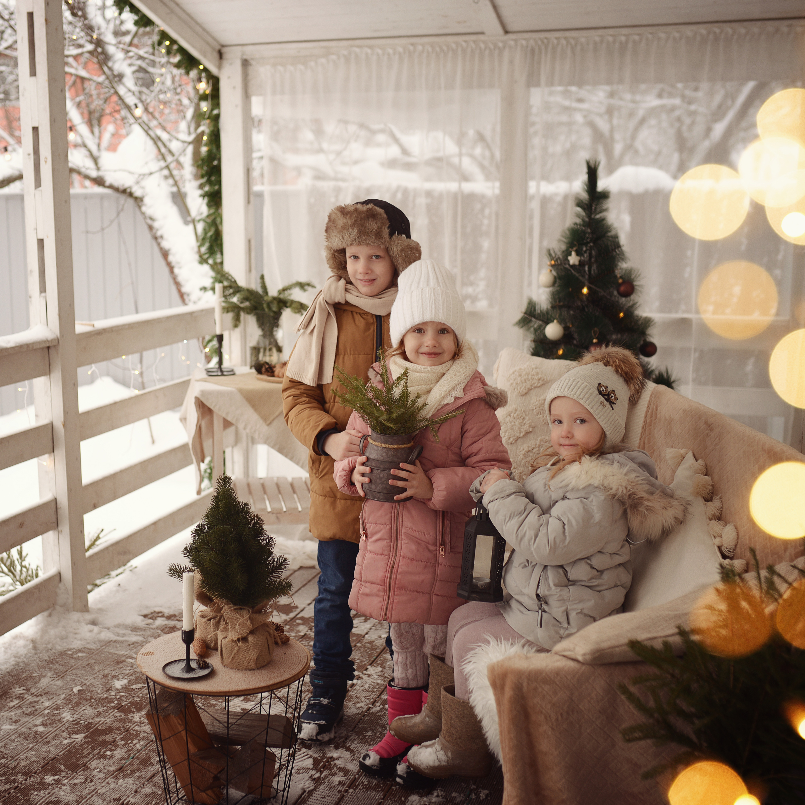 Новый год на даче. Фотограф Альбина Вакунова